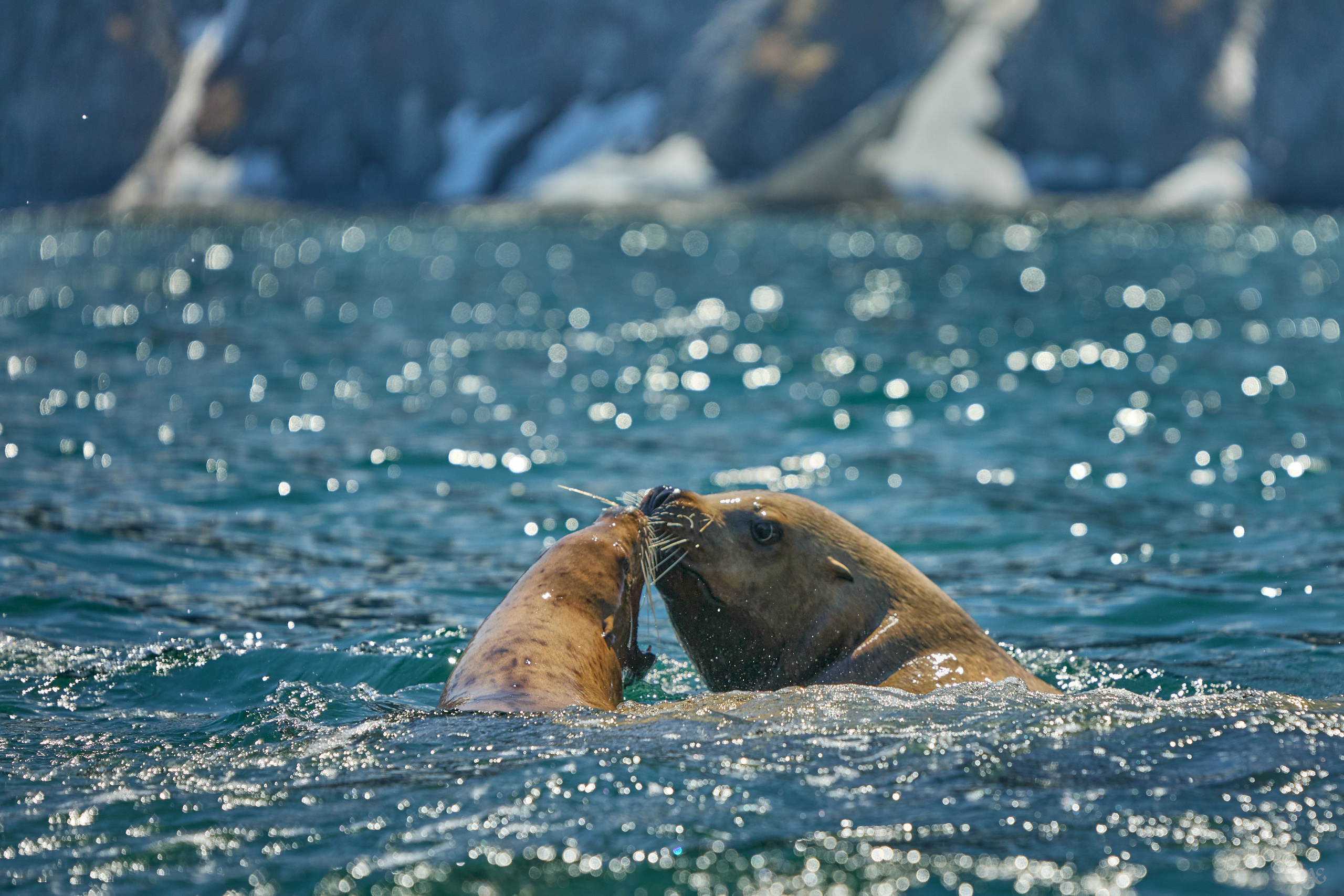 Камчатка. Alexander Ermolenko