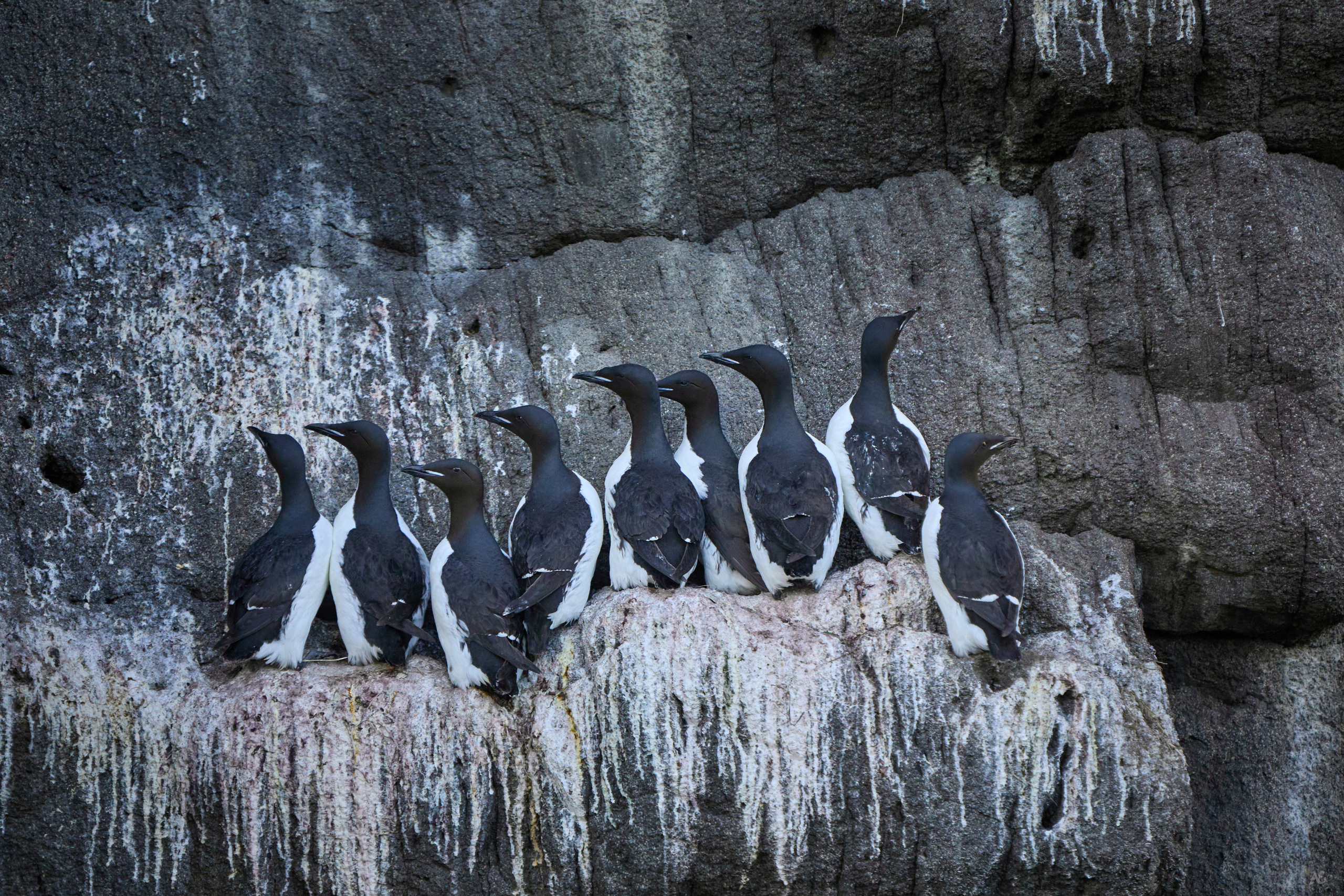 Камчатка. Alexander Ermolenko