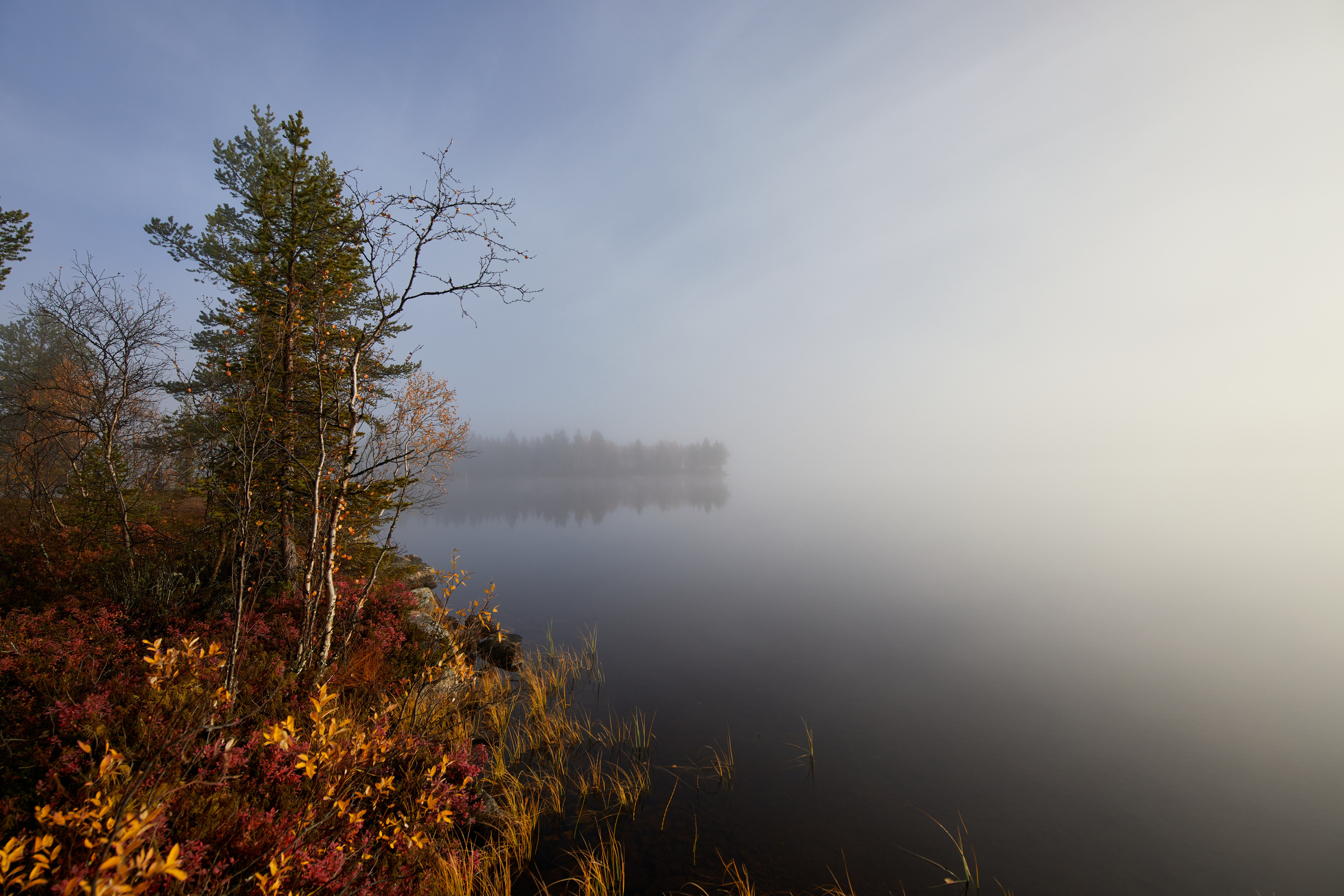 Разное. Alexander Ermolenko