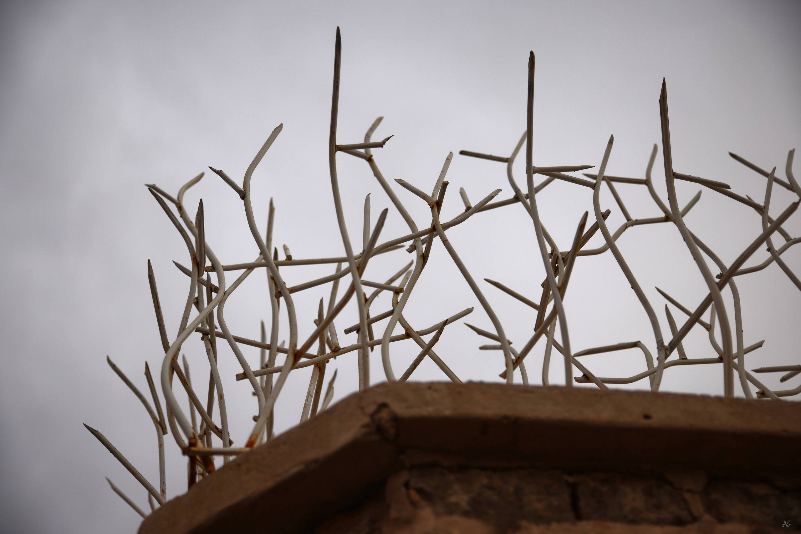 Иран. Alexander Ermolenko