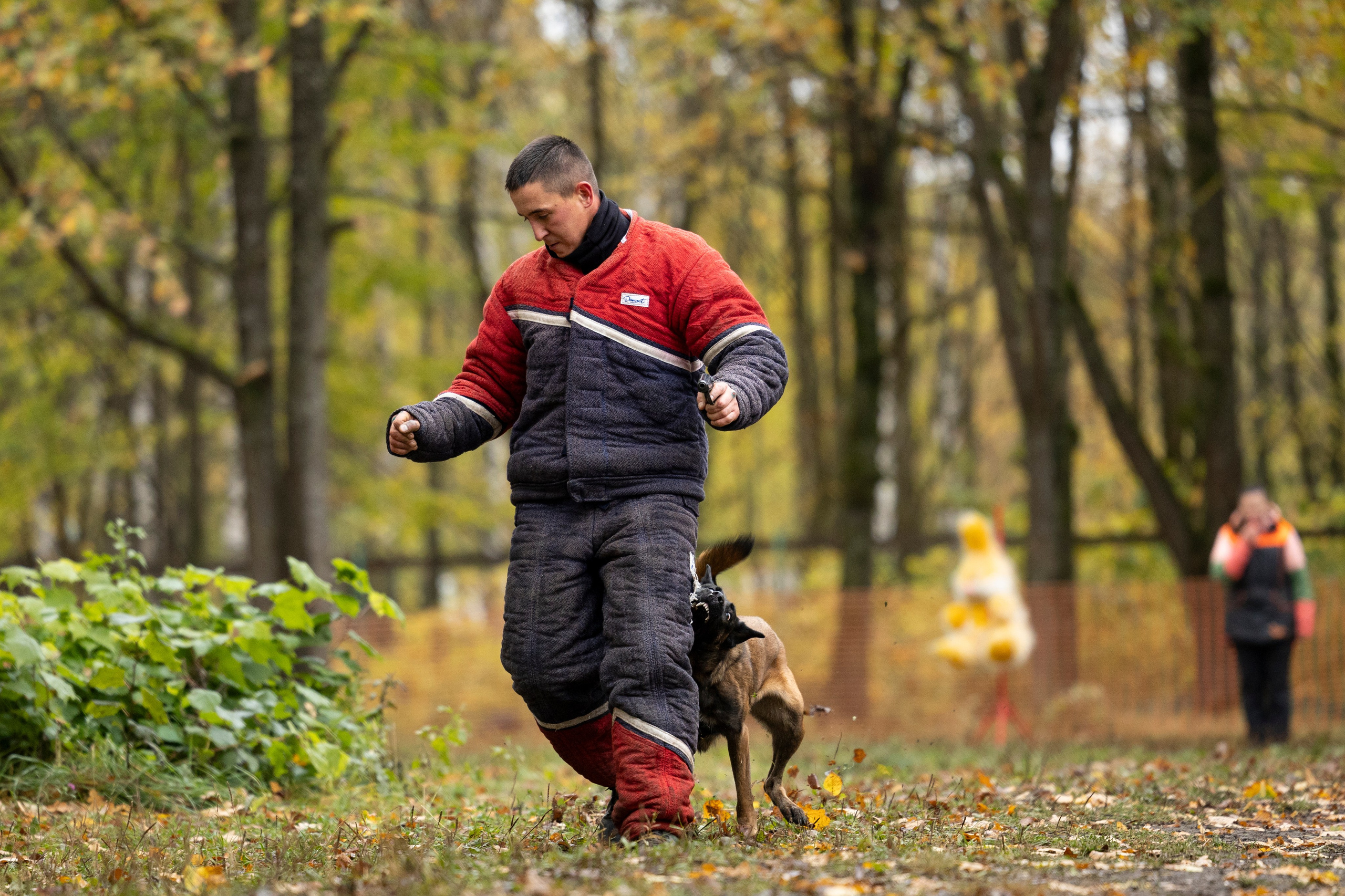 Соревнования по Мондьорингу г. Вологда. Фотограф-анималист Анна Маринич