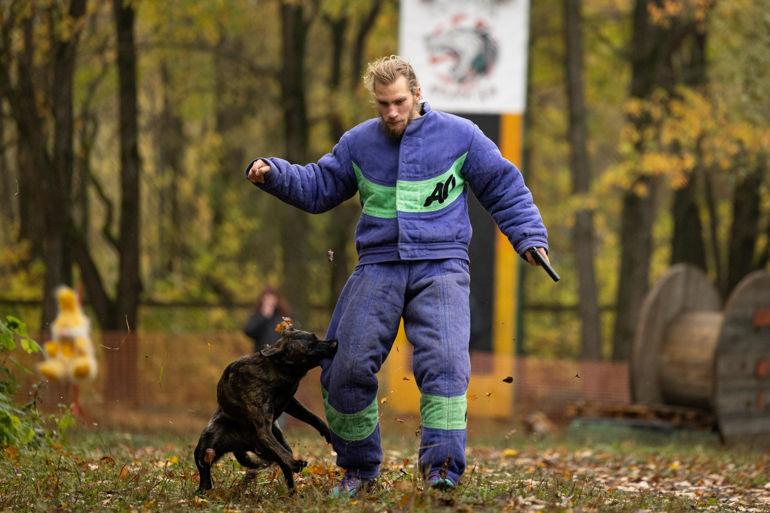 Соревнования по Мондьорингу г. Вологда. Фотограф-анималист Анна Маринич