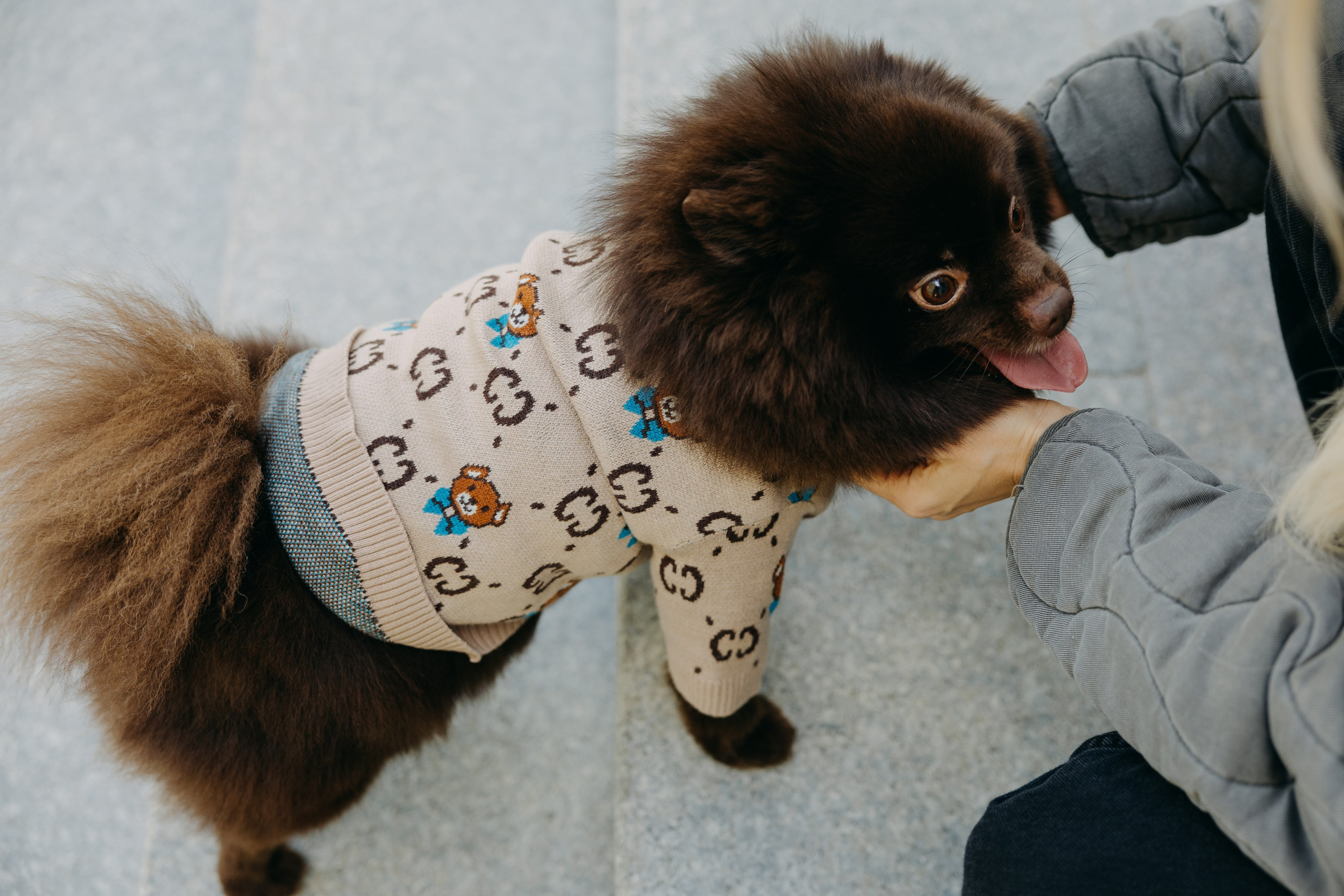 Утро в отеле Twelve Reasons и банкет в усадьбе Шелепаново. Свадебный фотограф Москва Анастасия Храмова