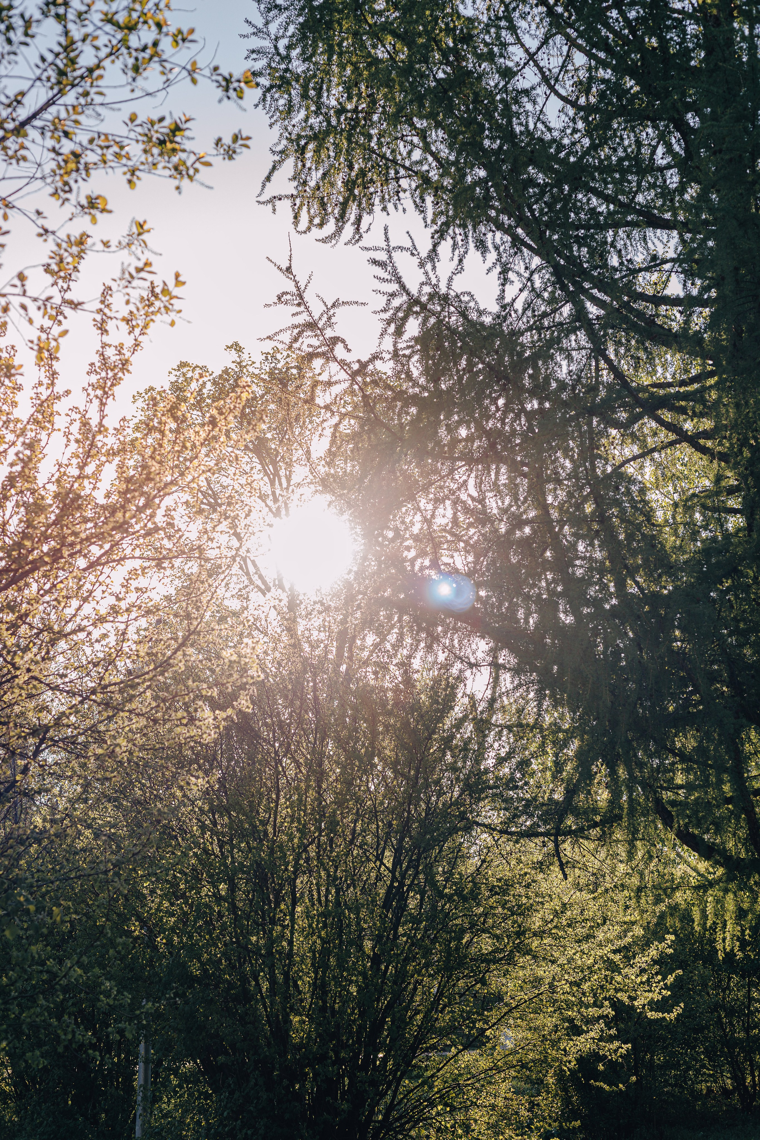Семейный фотодень в парке в Медногорске. Фотограф Медногорск Кувандык Оксана Шерехода свадебные, семейные, индивидуальные, школьные фотосессии. Печать фотоальбомов