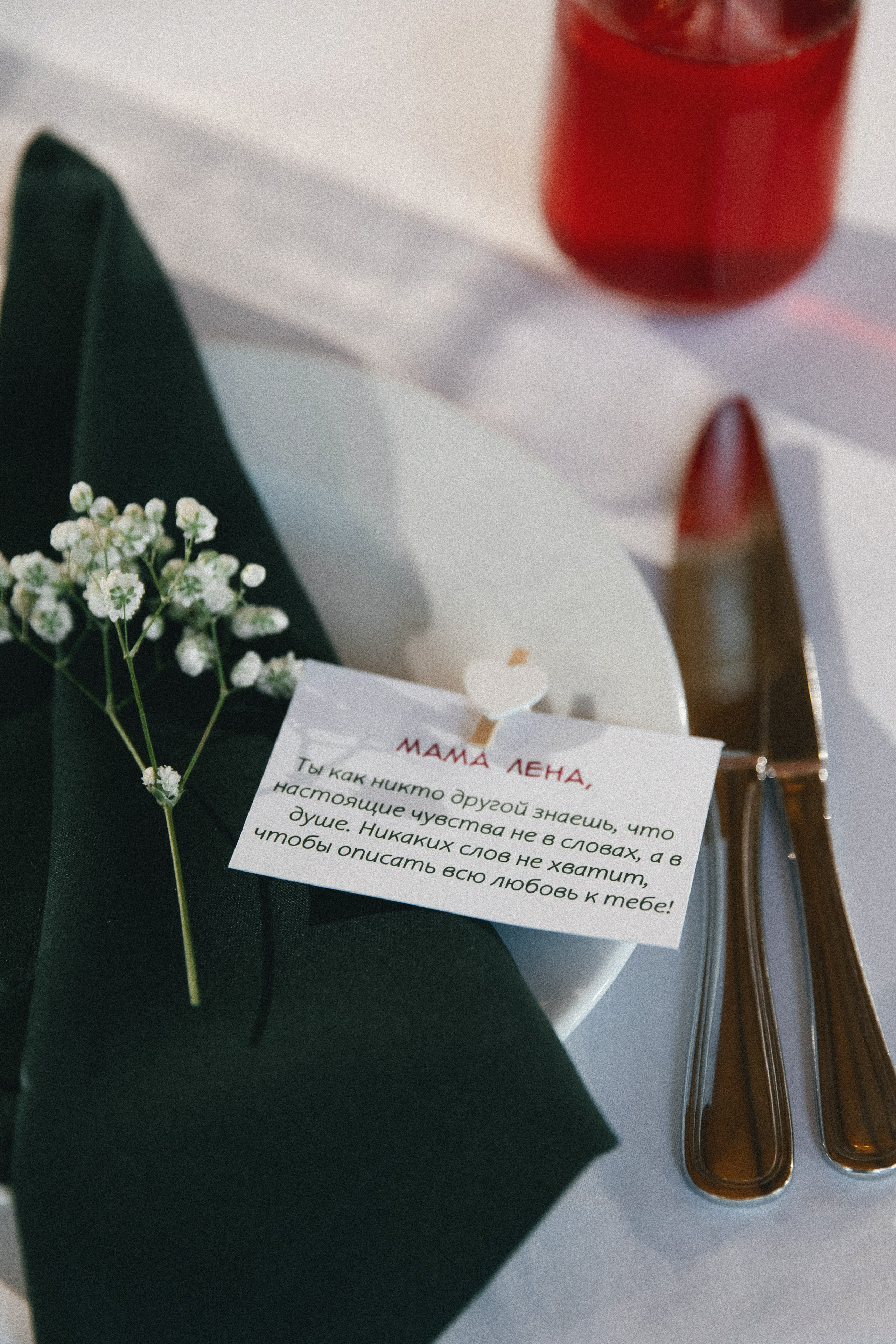 «TRICERАTOPS FUNS». Maria Startseva Photo