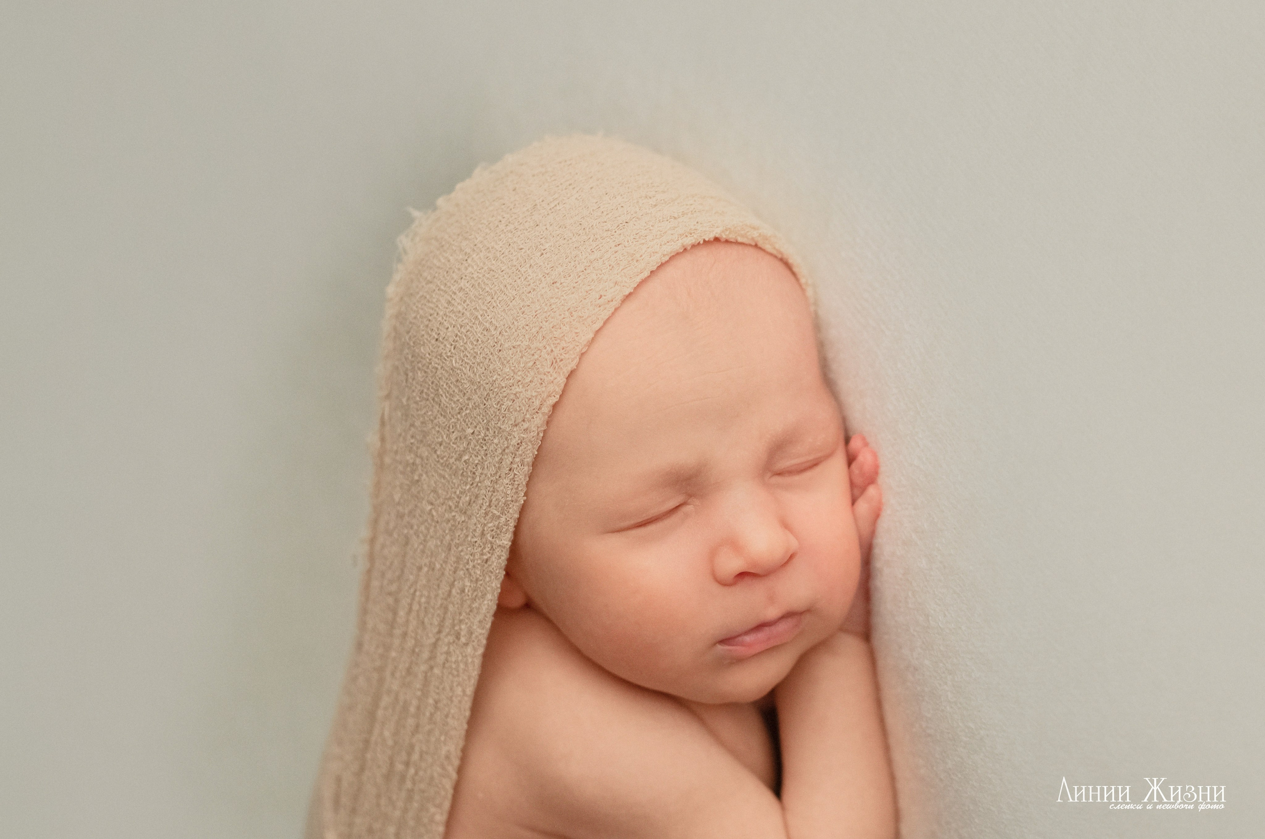 Анна 24 дня. Фотограф новорожденных в Нижнем Новгороде Сергеева Оксана