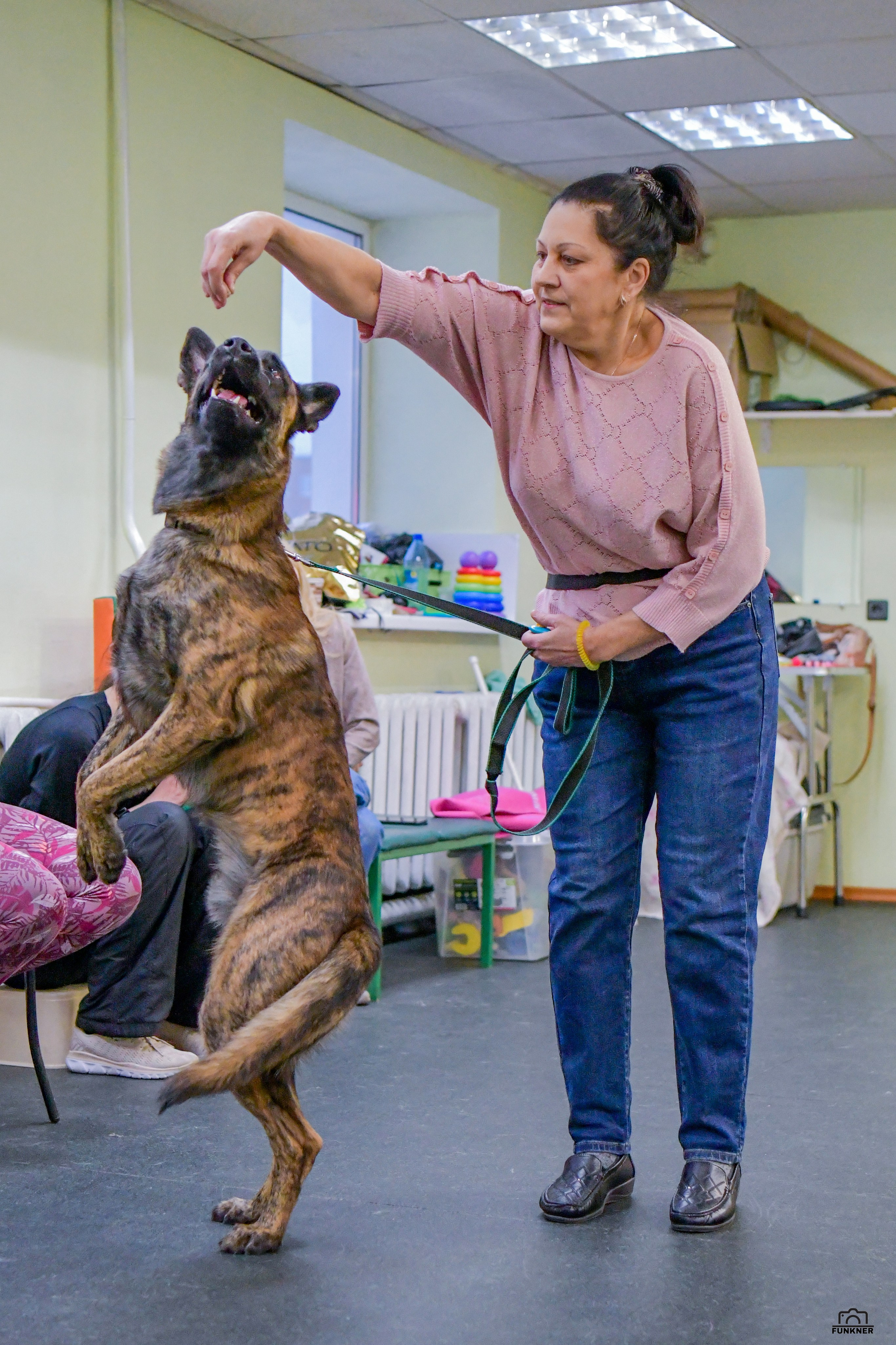 Кинологический клуб «Бодрый хвост». Свой взгляд через объектив