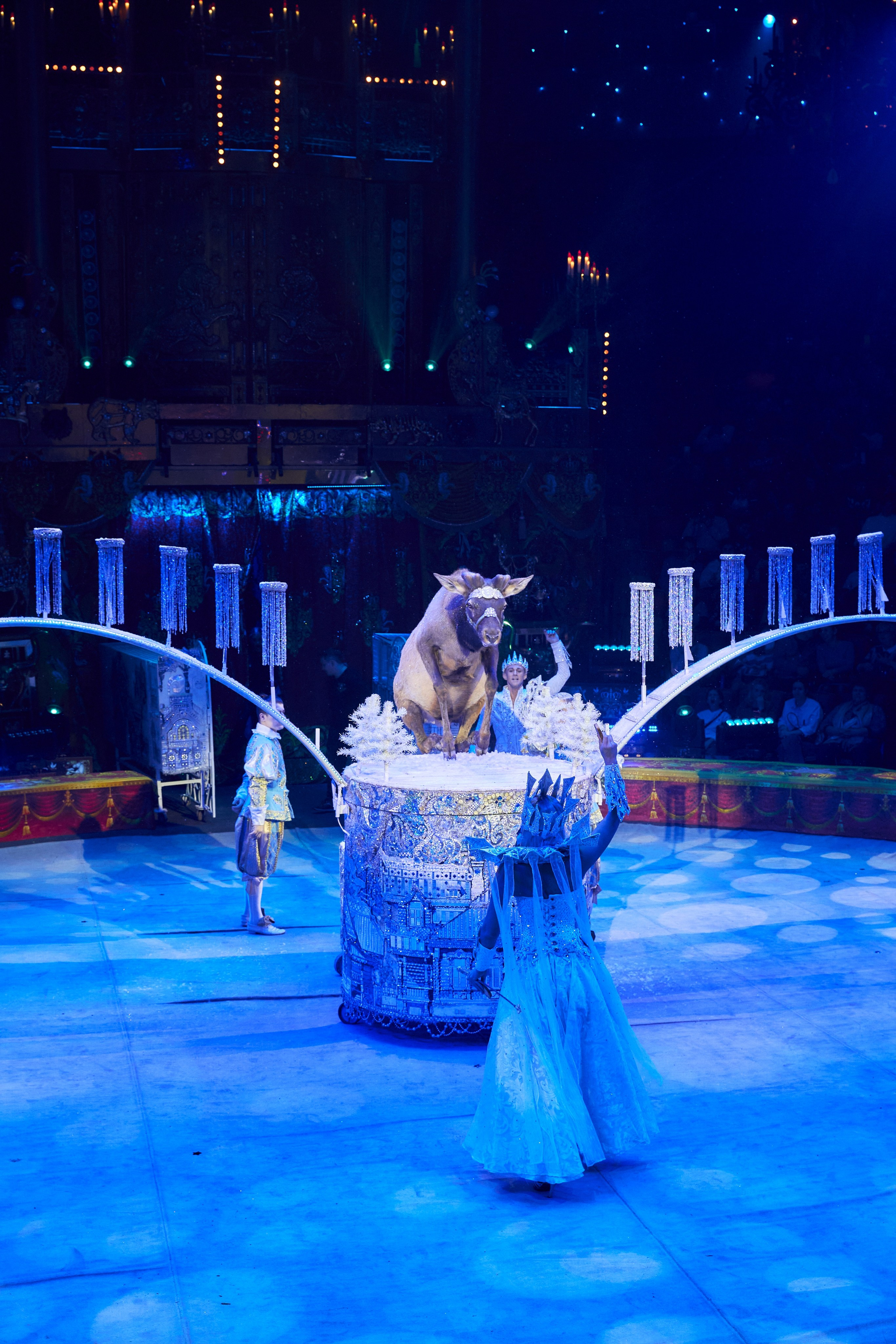 Королевский цирк Гии Эрадзе. Свадебный и семейный фотограф