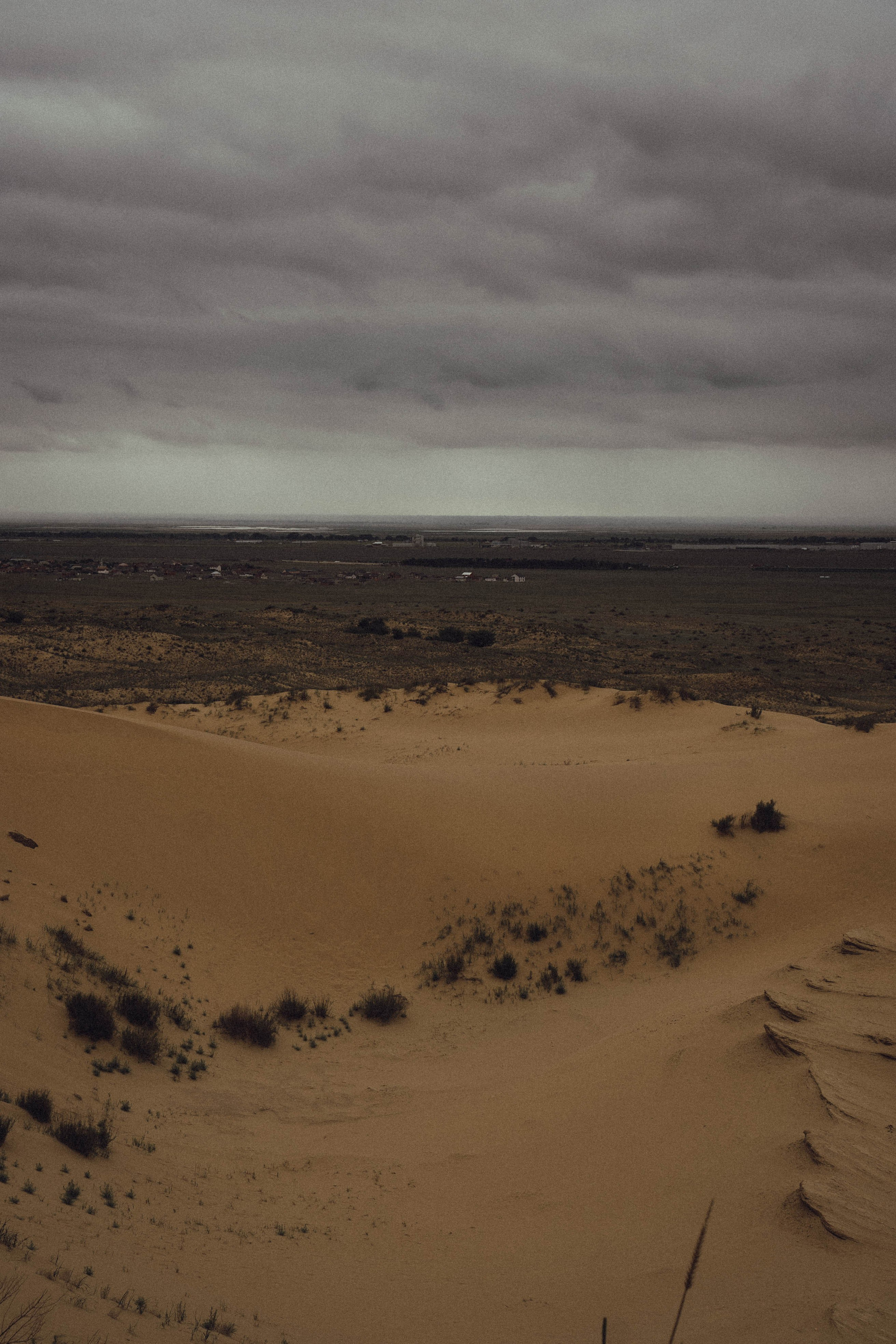 Кавказ. Профессиональный фотограф, Санкт-Петербург — Виктория Богомолова