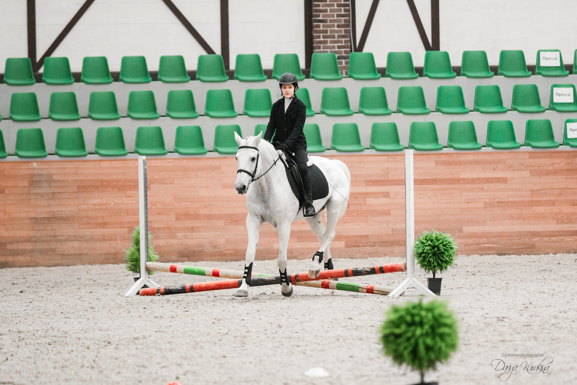 8-я международная выставка Конная Россия. Конный фотограф Куракина Дарья • Фотосессии с лошадьми