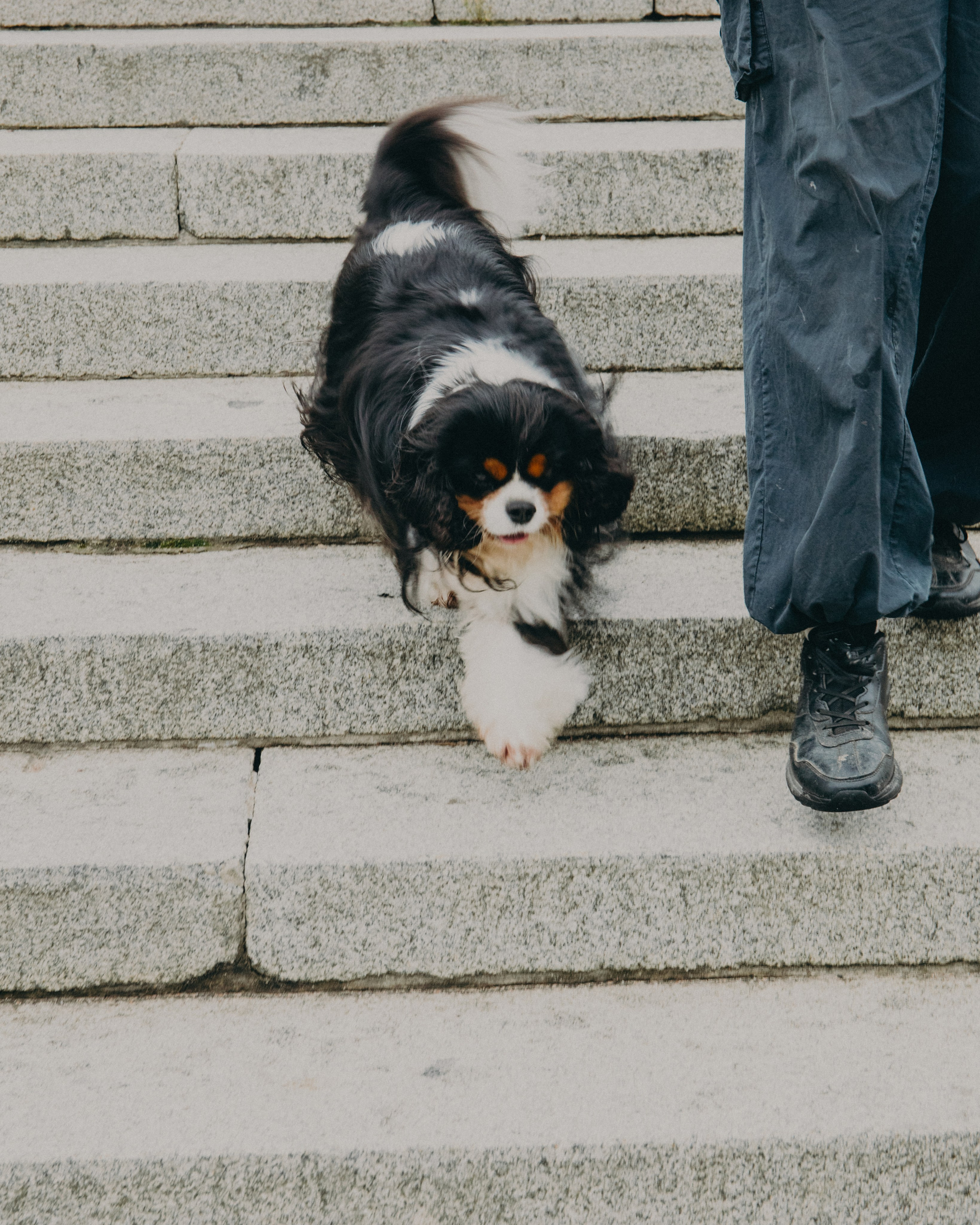 Гилдин. Портретный фотограф Ванинен Анастасия. Санкт-Петербург