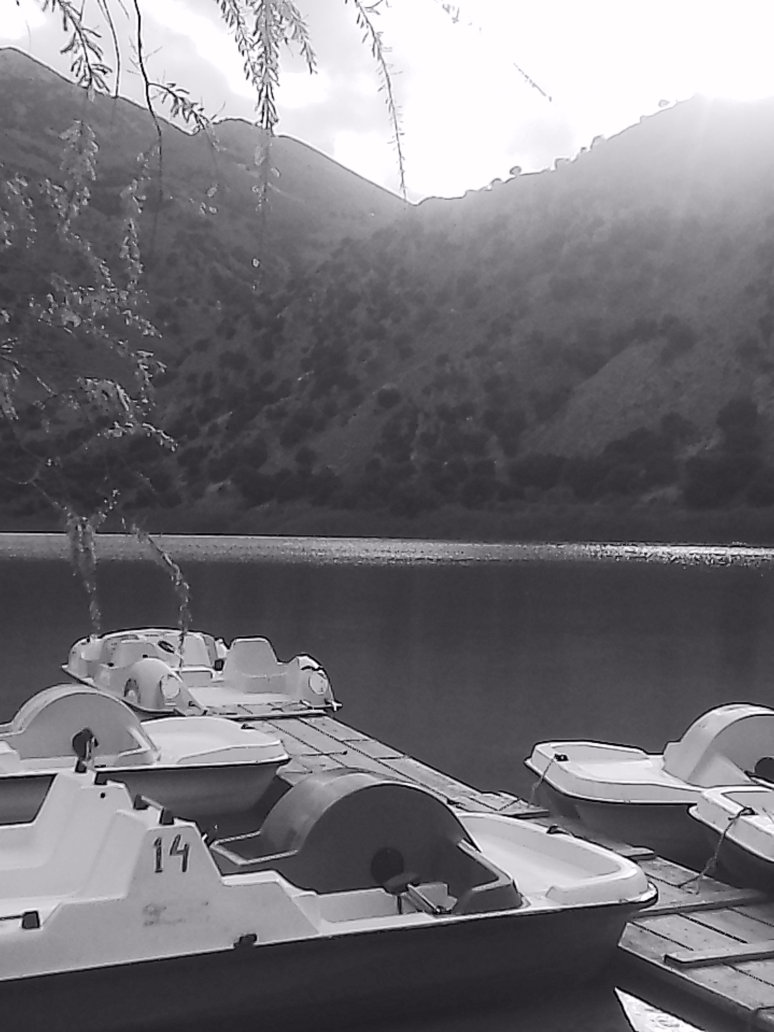 «Крошка 🐣». Anita_photo