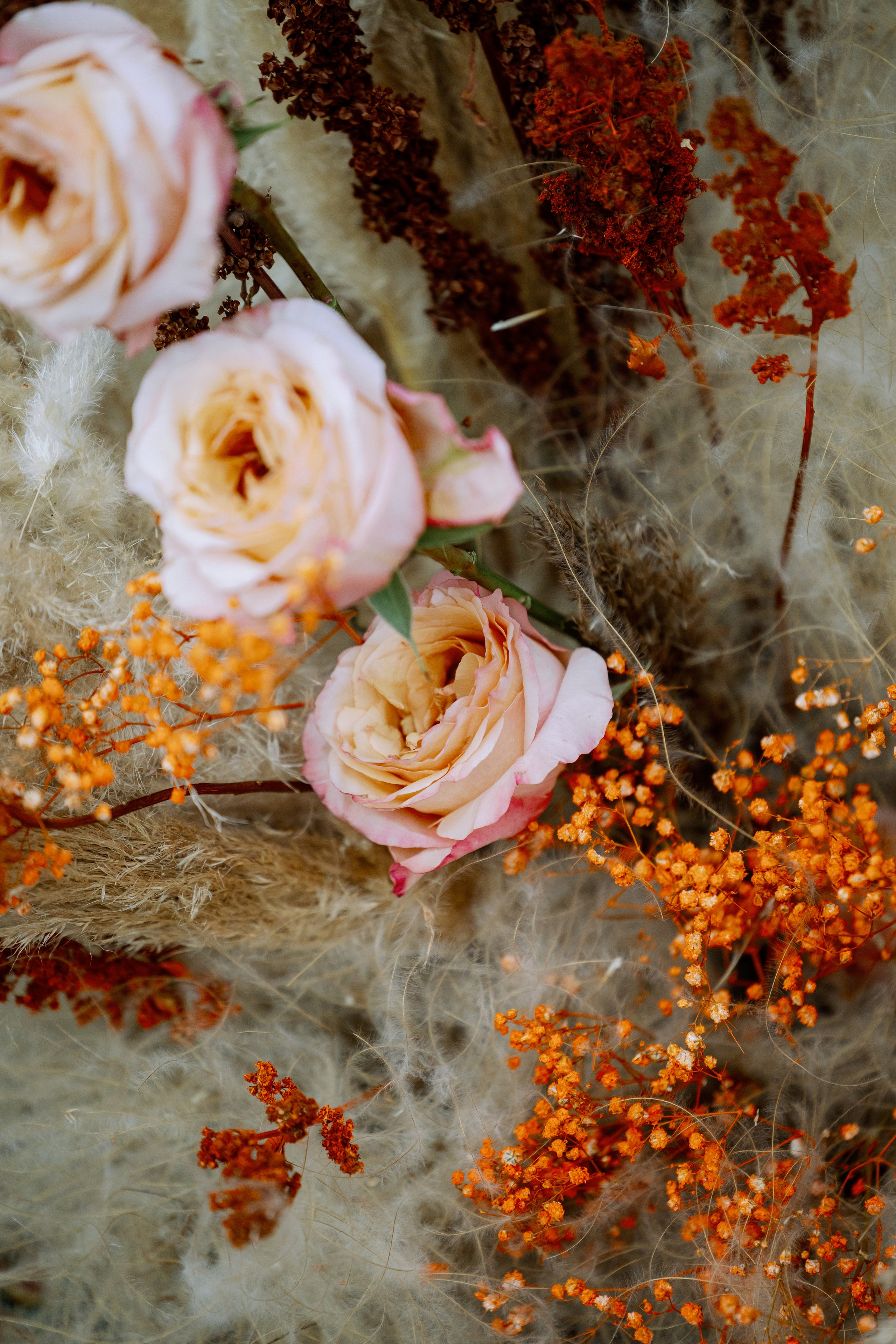 10.08.2023 Дмитрий и Виктория. Фотограф в Красноярске