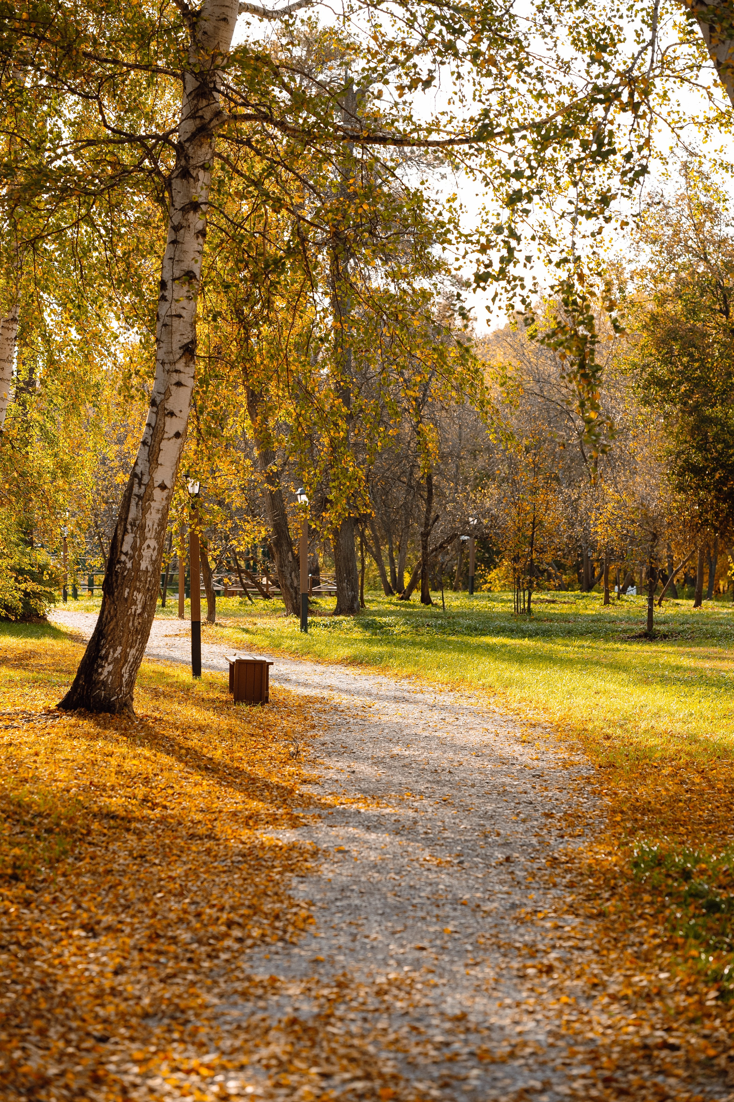 История маленького черного платья. Семейный и свадебный фотограф в Бугуруслане Екатерина Ронжина