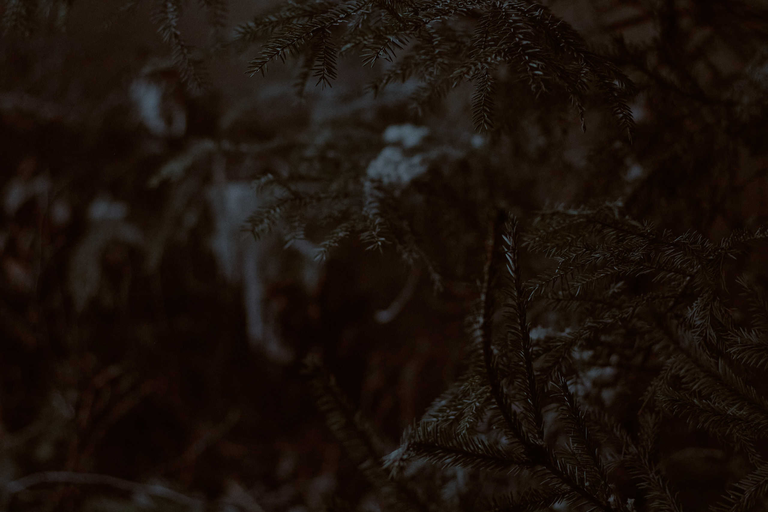 Тень. Фотограф лавстори Москва/МО Приятелева Ангелина