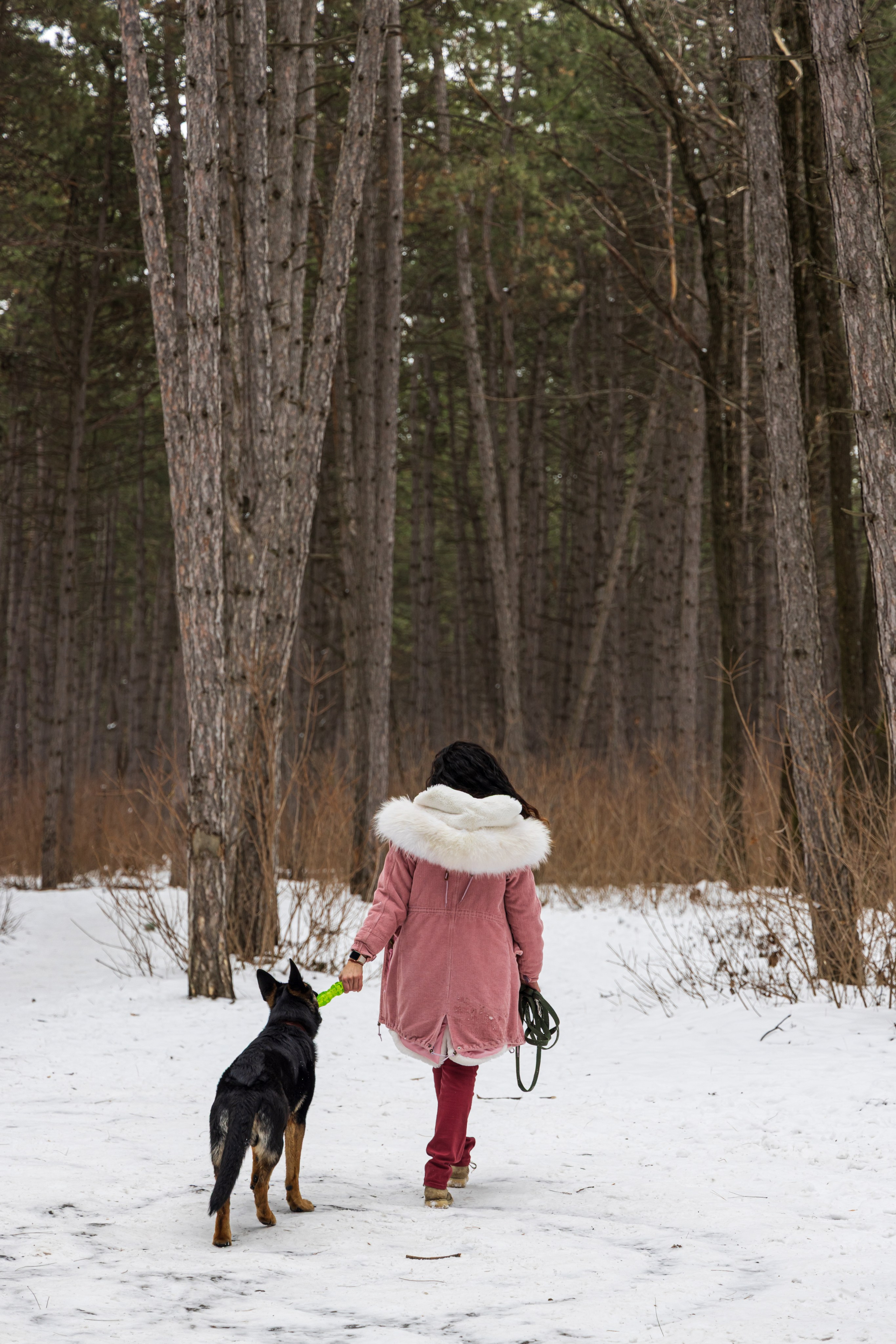 Анна и Рич. Фотограф в Ростове-на-Дону