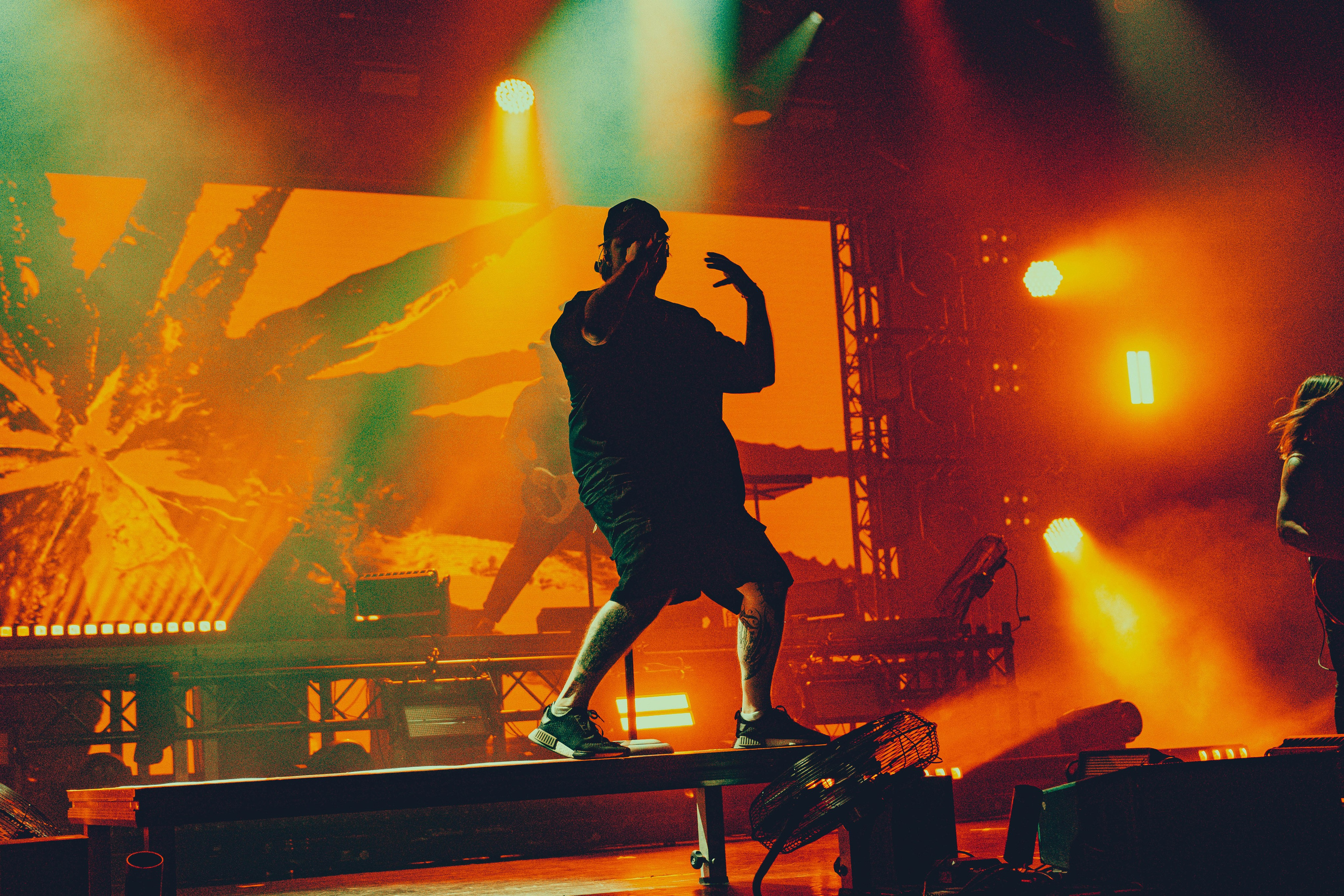 Amatory 22.11.2025. Фотограф Дядя Сник