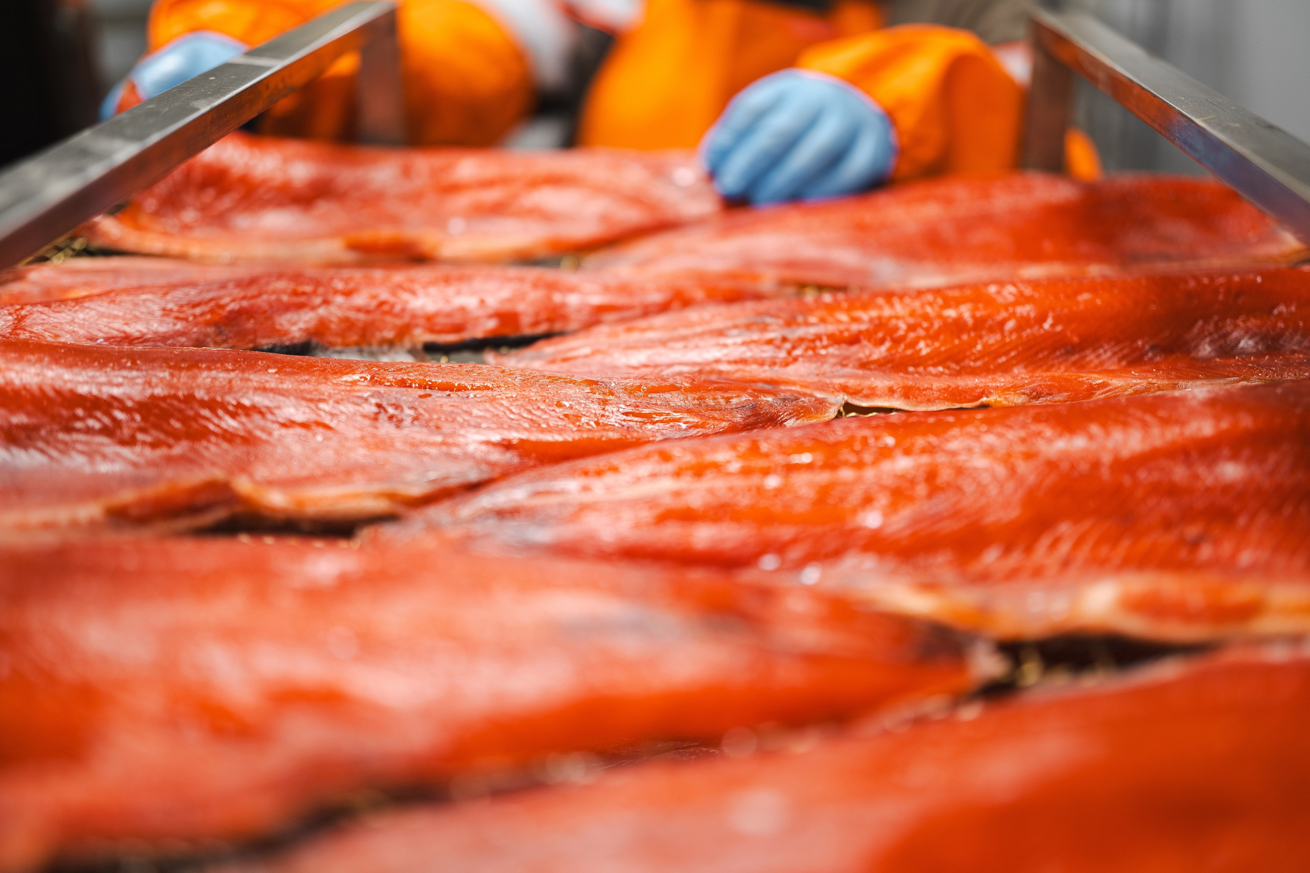 Амурро. Фотограф Хабаровск