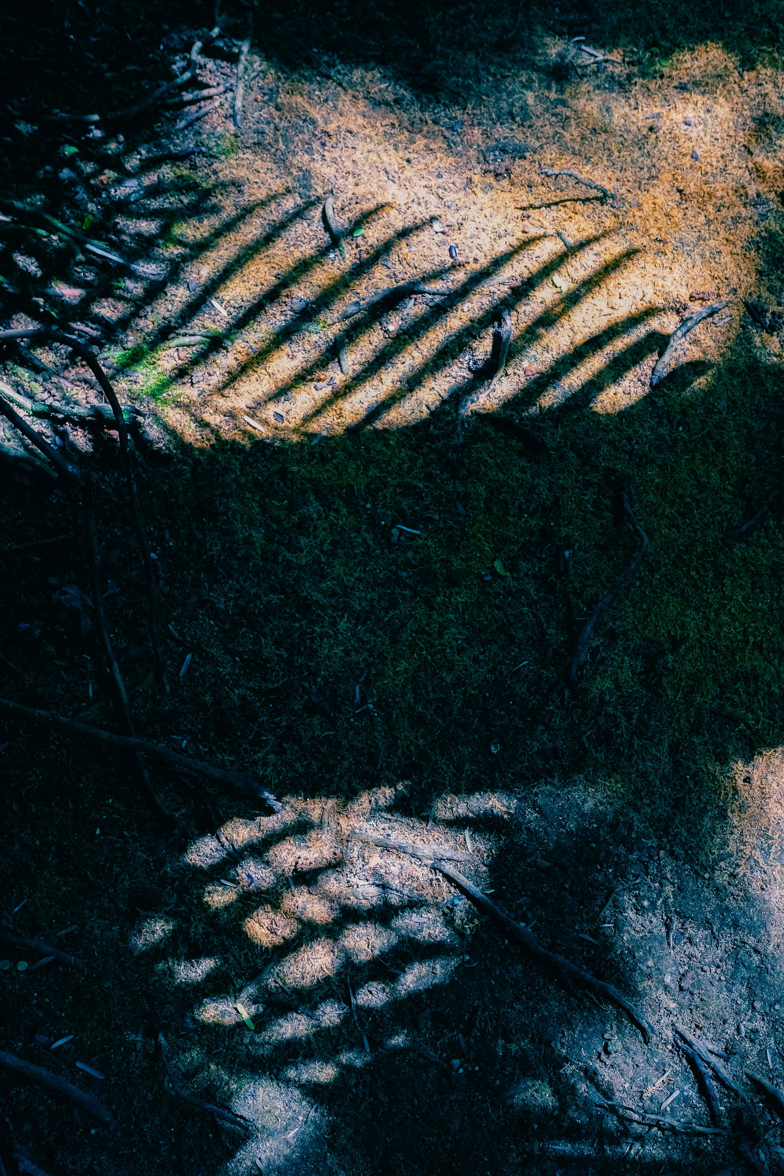 Шри-Ланка. Фотограф Алиса Аспер