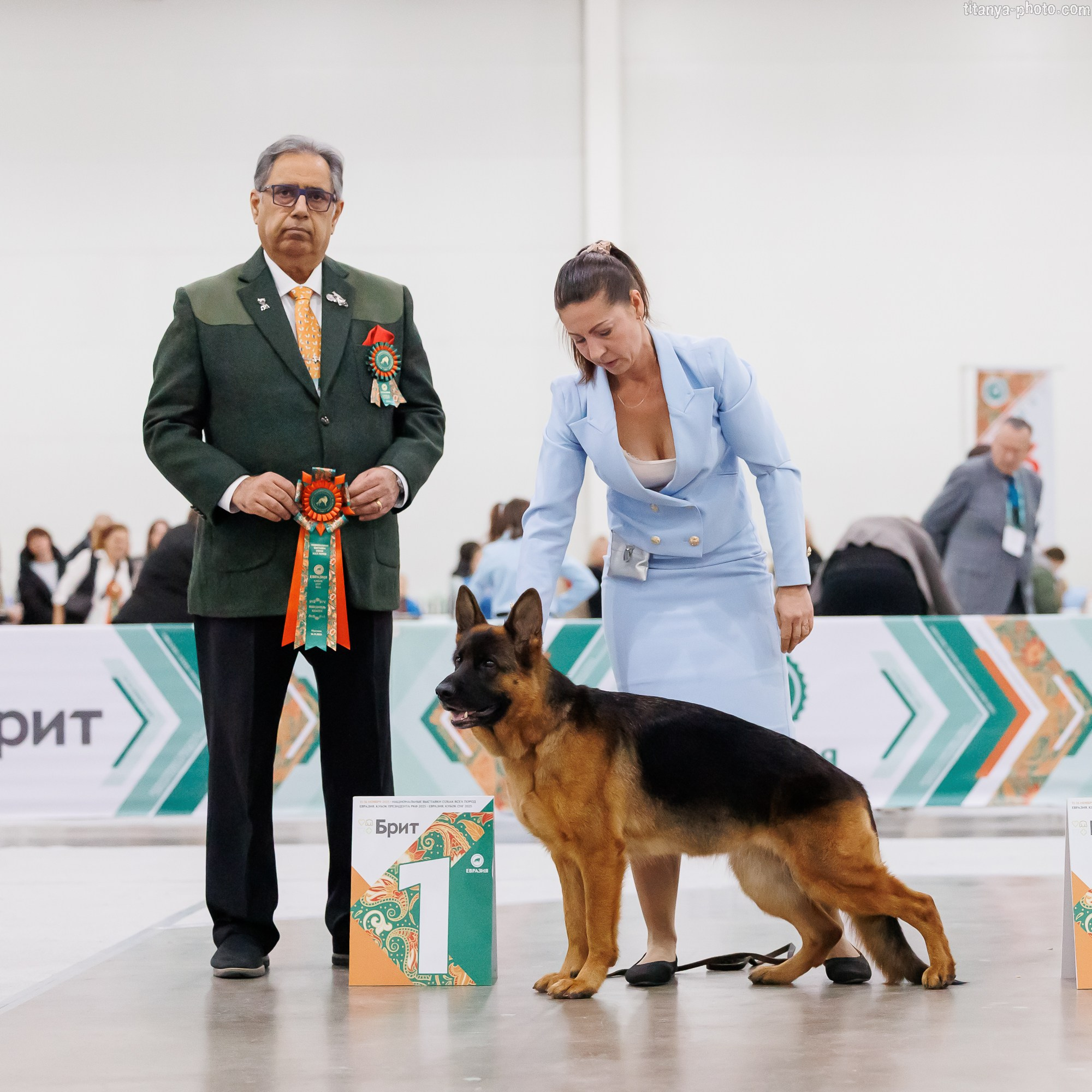 «Евразия-2025»: картинки с выставки. Фотограф собак, фотограф-анималист Аня Титова (Titanya). Москва