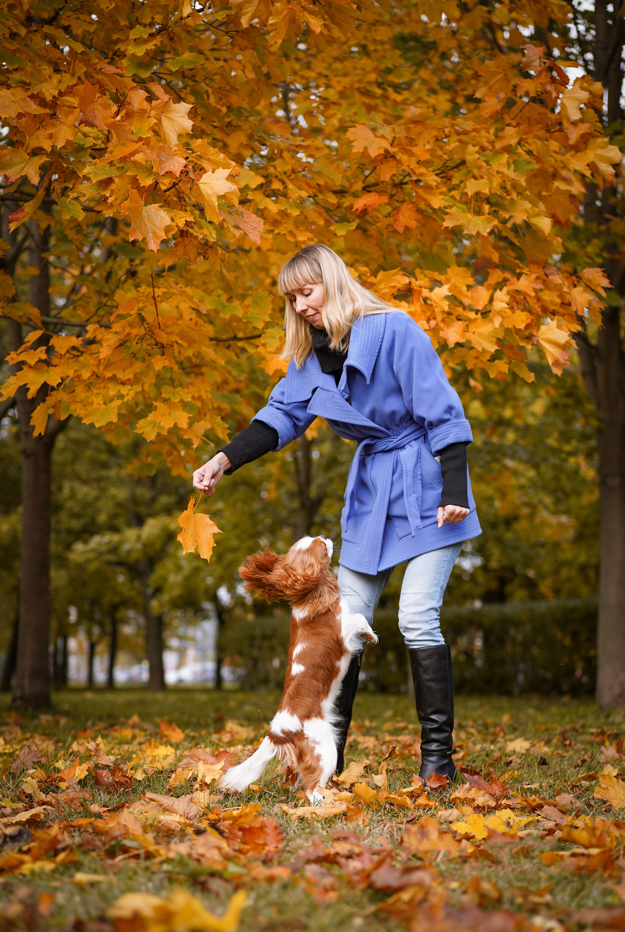 Катя Валера Саша и кавалерчики. Фотограф-анималист в Санкт-Петербурге Яна Мартынова