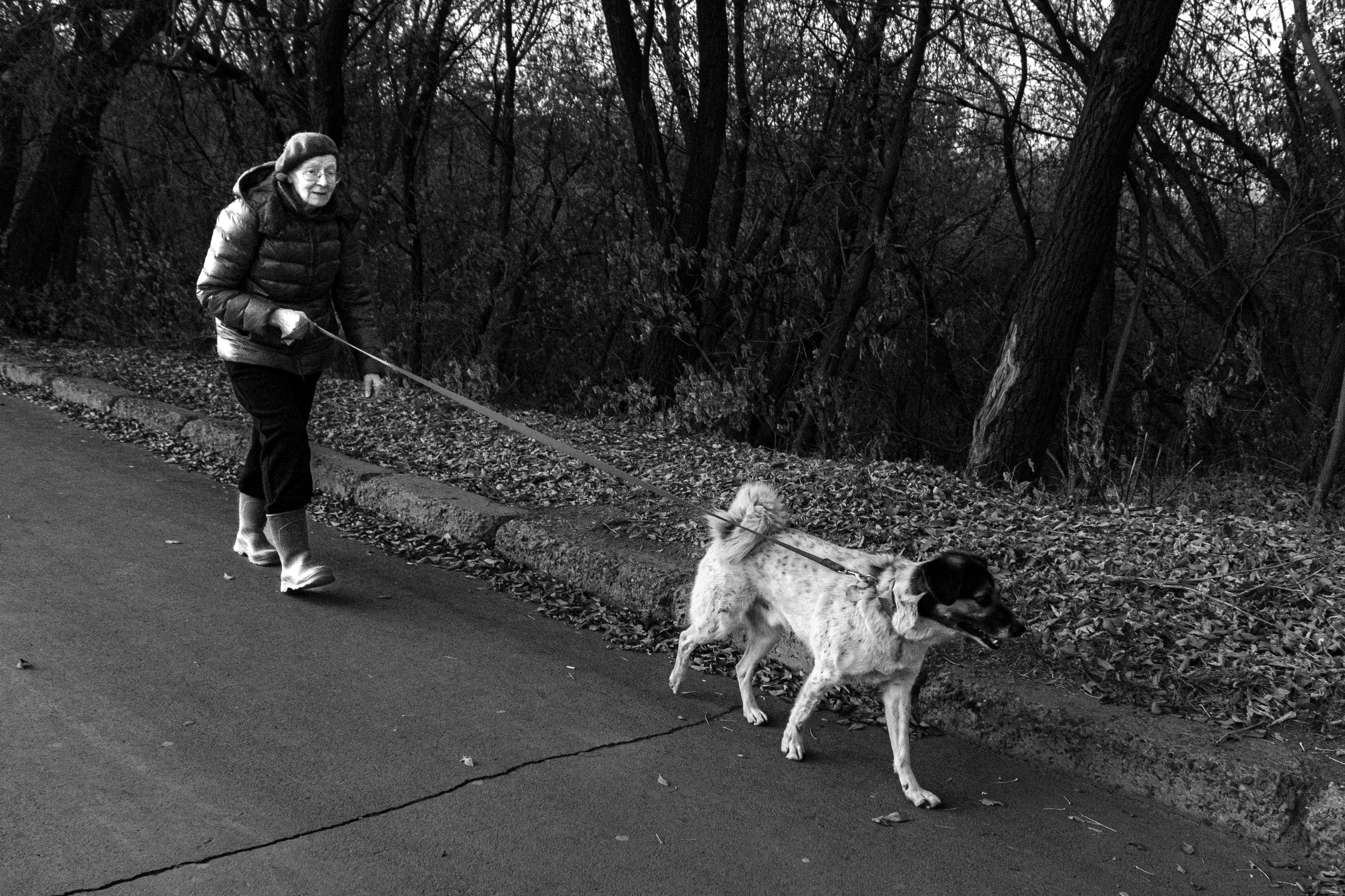 Street choreography. StepanGerasimov