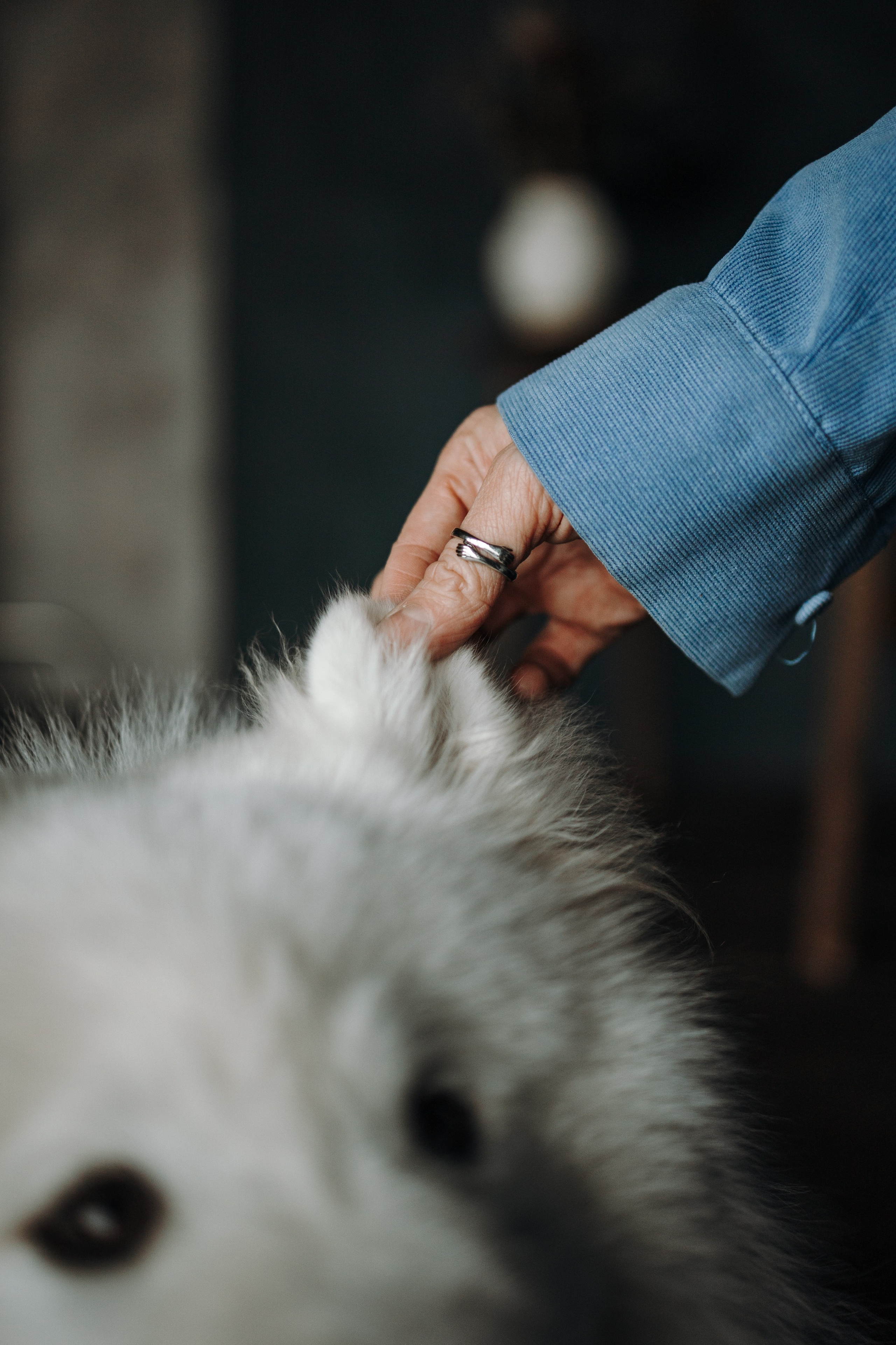 Марина и Мушу. Фотограф — Анималист | Санкт-Петербург