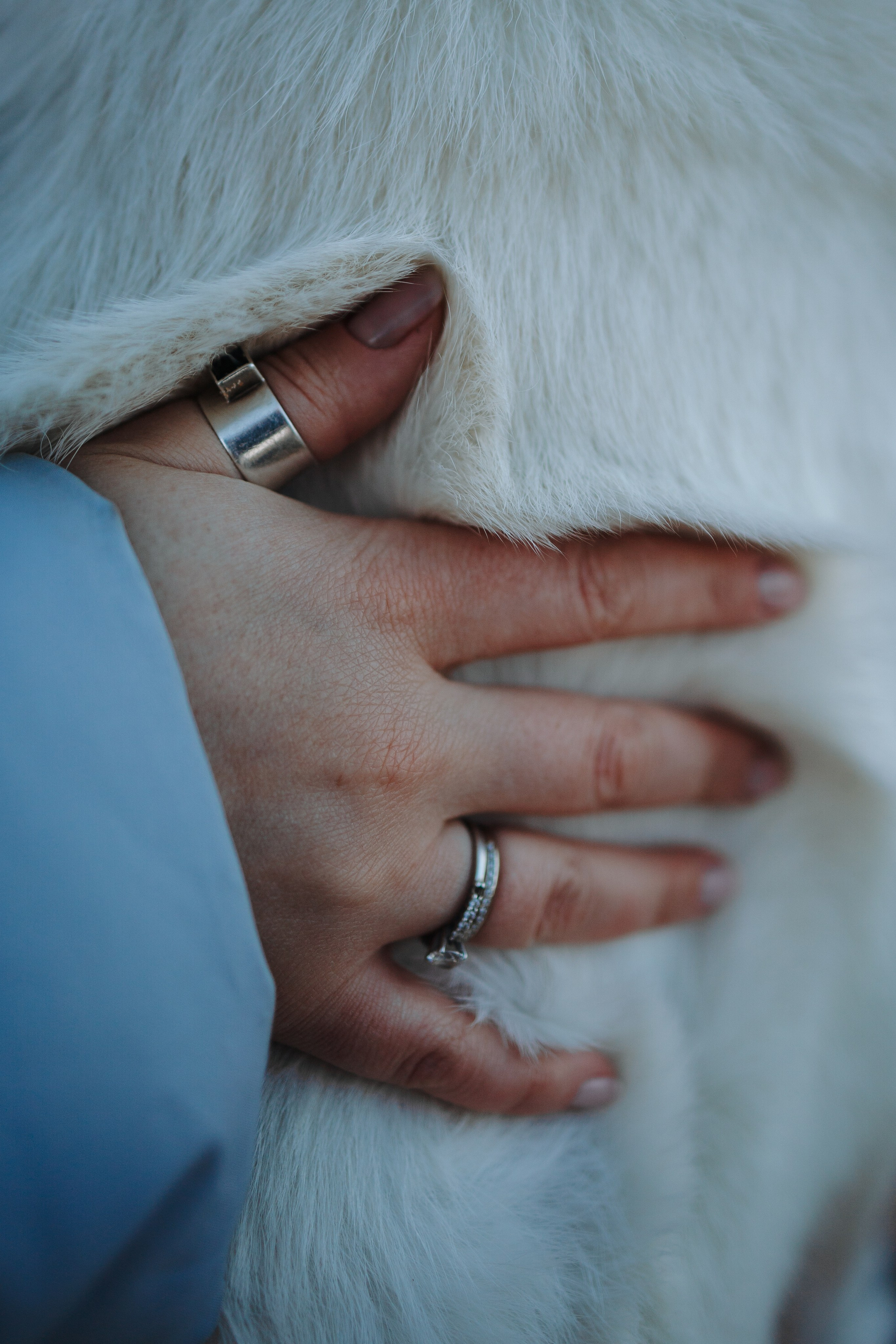 Настя и Эва. Фотограф — Анималист | Санкт-Петербург