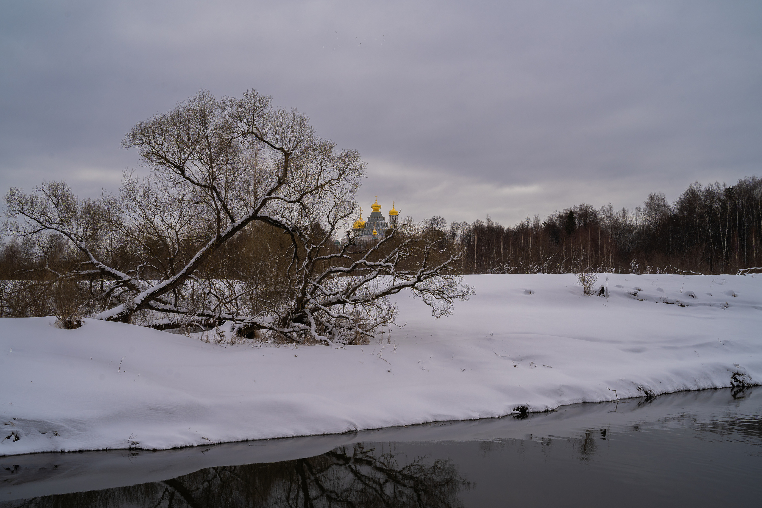 Даниил Мурай. Семейное фото. Мужской портрет. Женский портрет. Даниил Мурай — Фотограф Зеленоград- Аланья