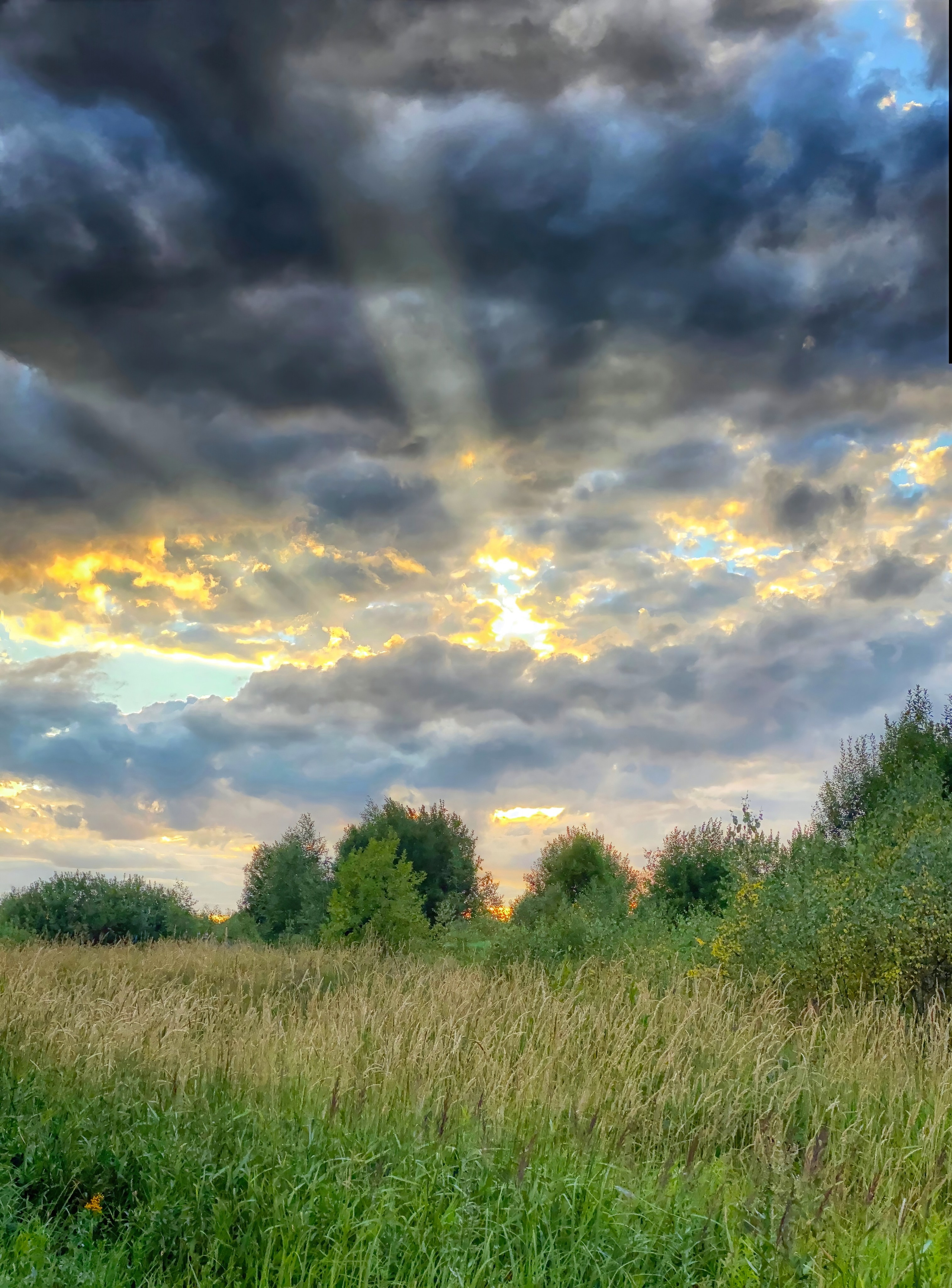 ПРИРОДА. Слепки времени. Фотографии природы и событий. Москва. Сергей Аллагулов