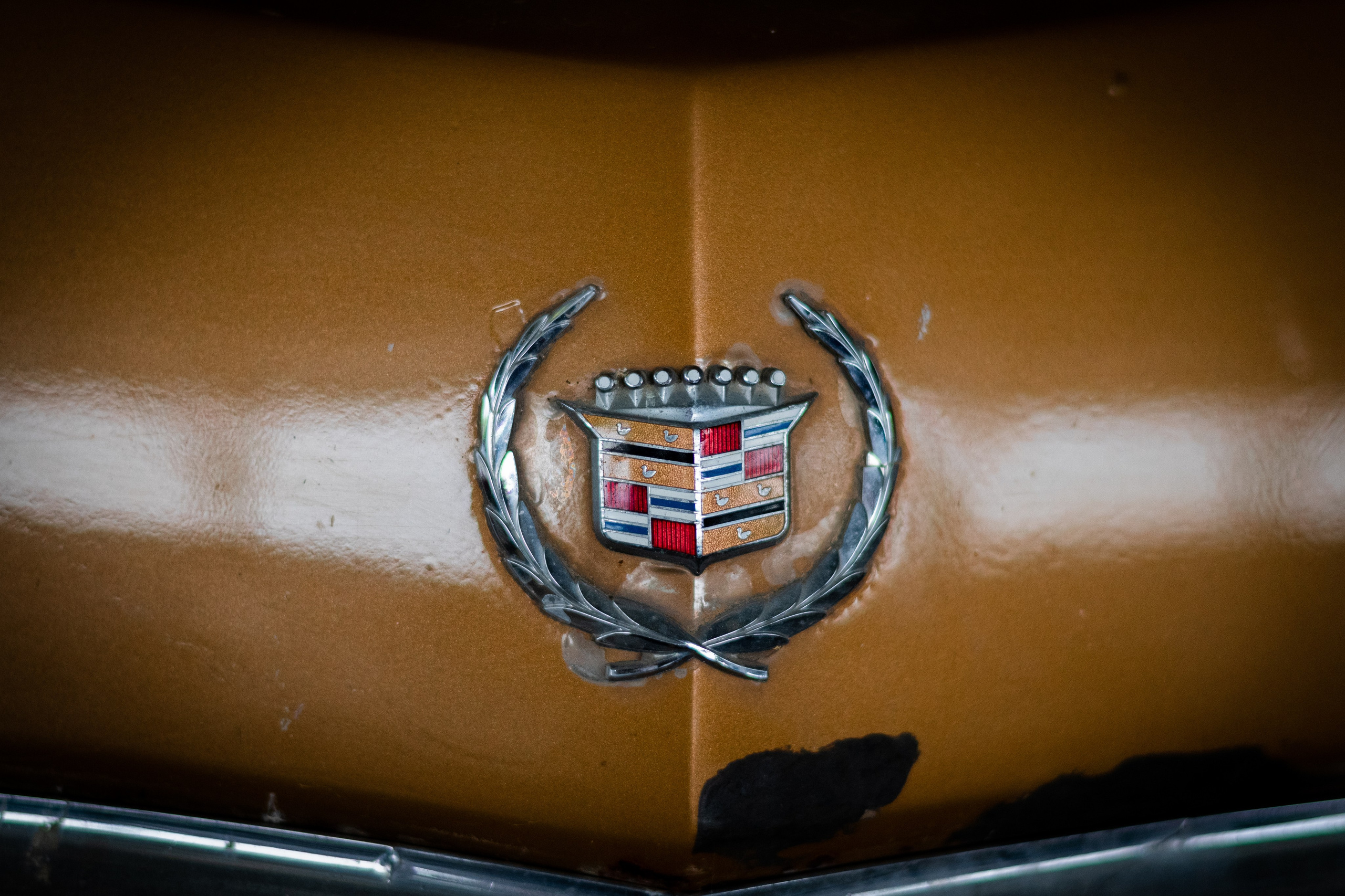 20210807 Автокомбинат. Дмитрий Ремизов. Фотография, как хобби