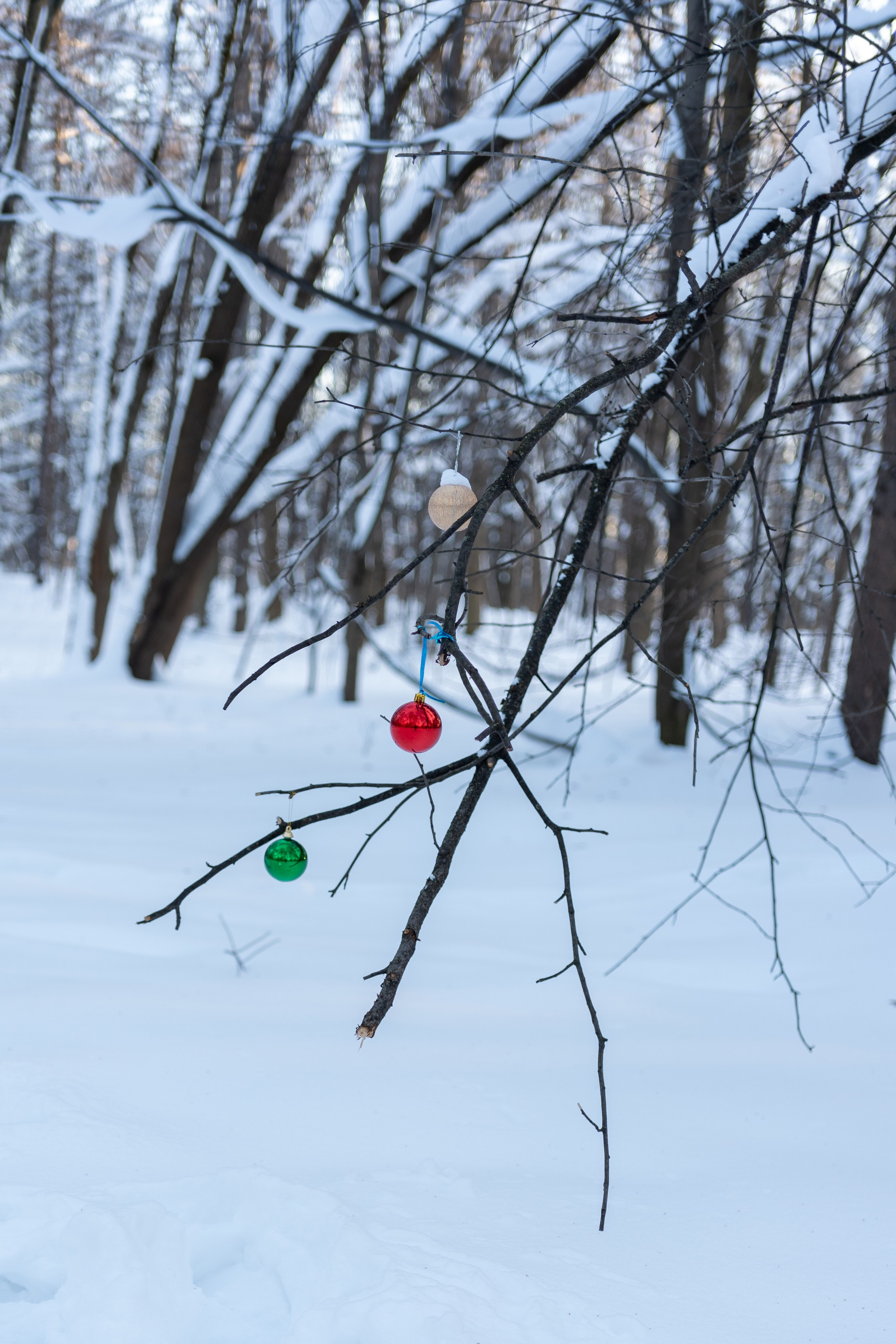 20260118 МГУ. Дмитрий Ремизов. Фотография, как хобби