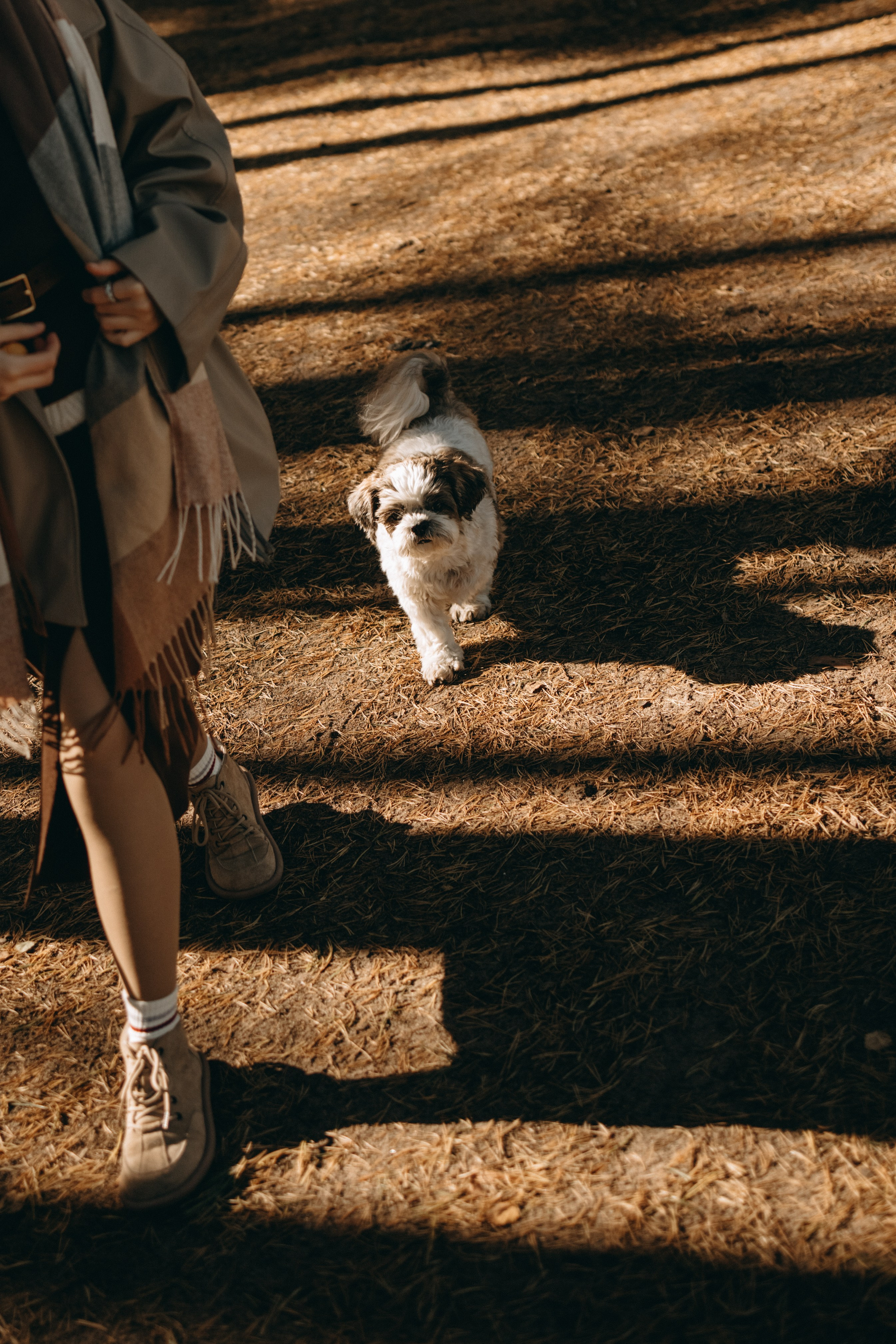 Настя и Франт. Фотограф — Анималист | Санкт-Петербург