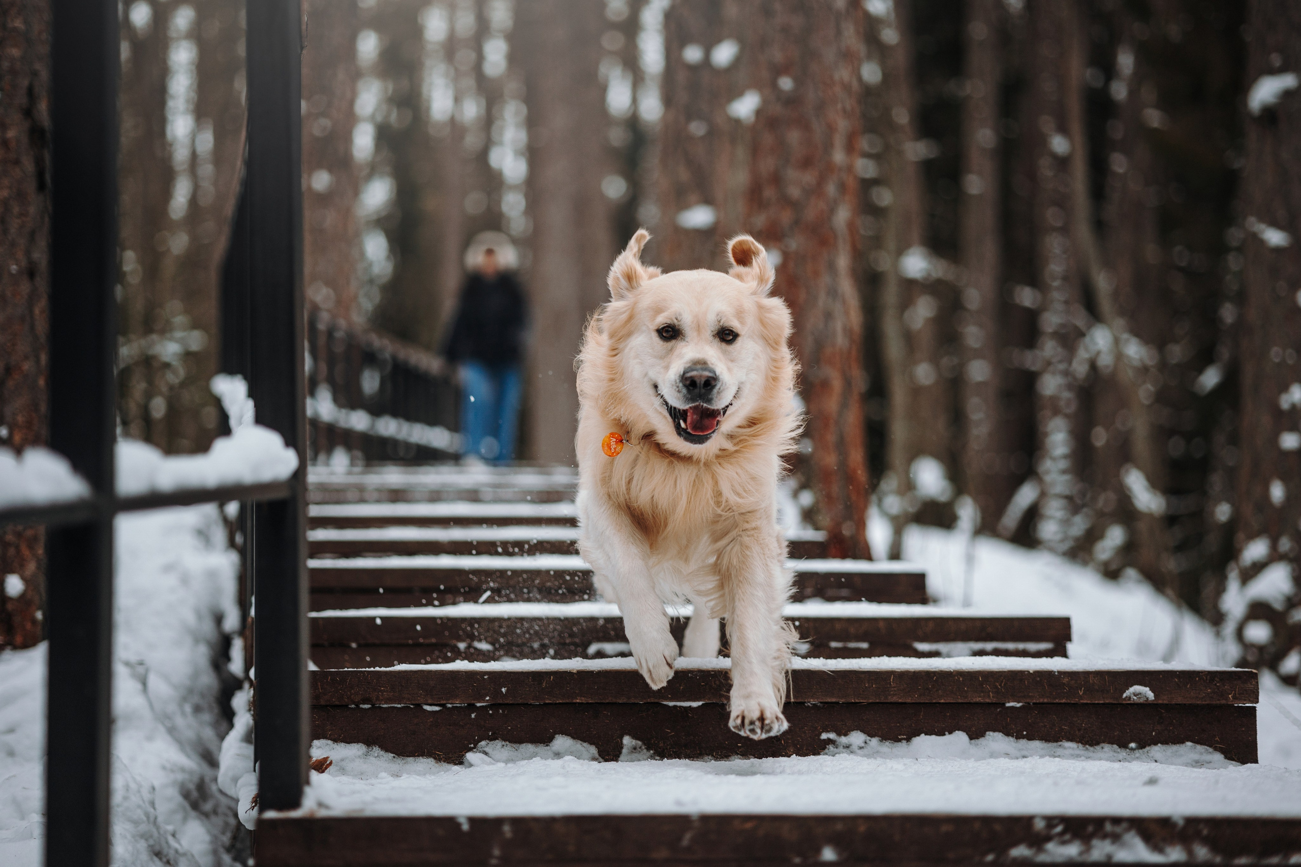 Вика и Лёва. Фотограф — Анималист | Санкт-Петербург