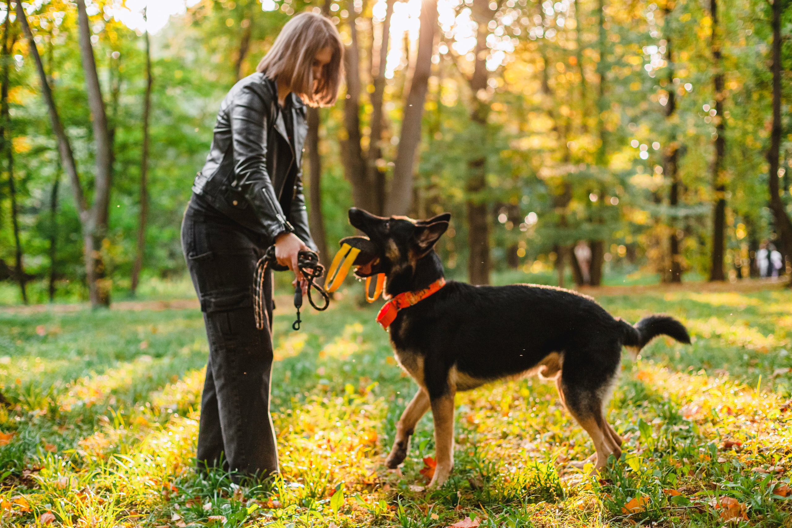 Илай. Фотограф-анималист Татьяна Степанова
