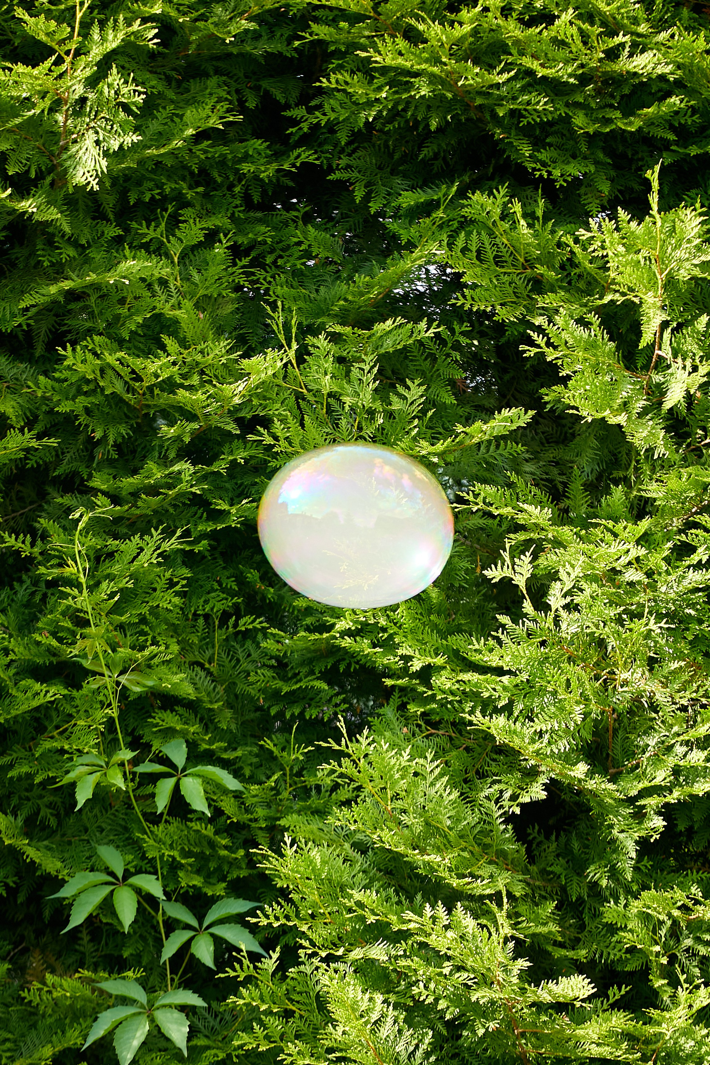 Уэнсдей. Фотограф Михаил Коган — Москва 89267284460