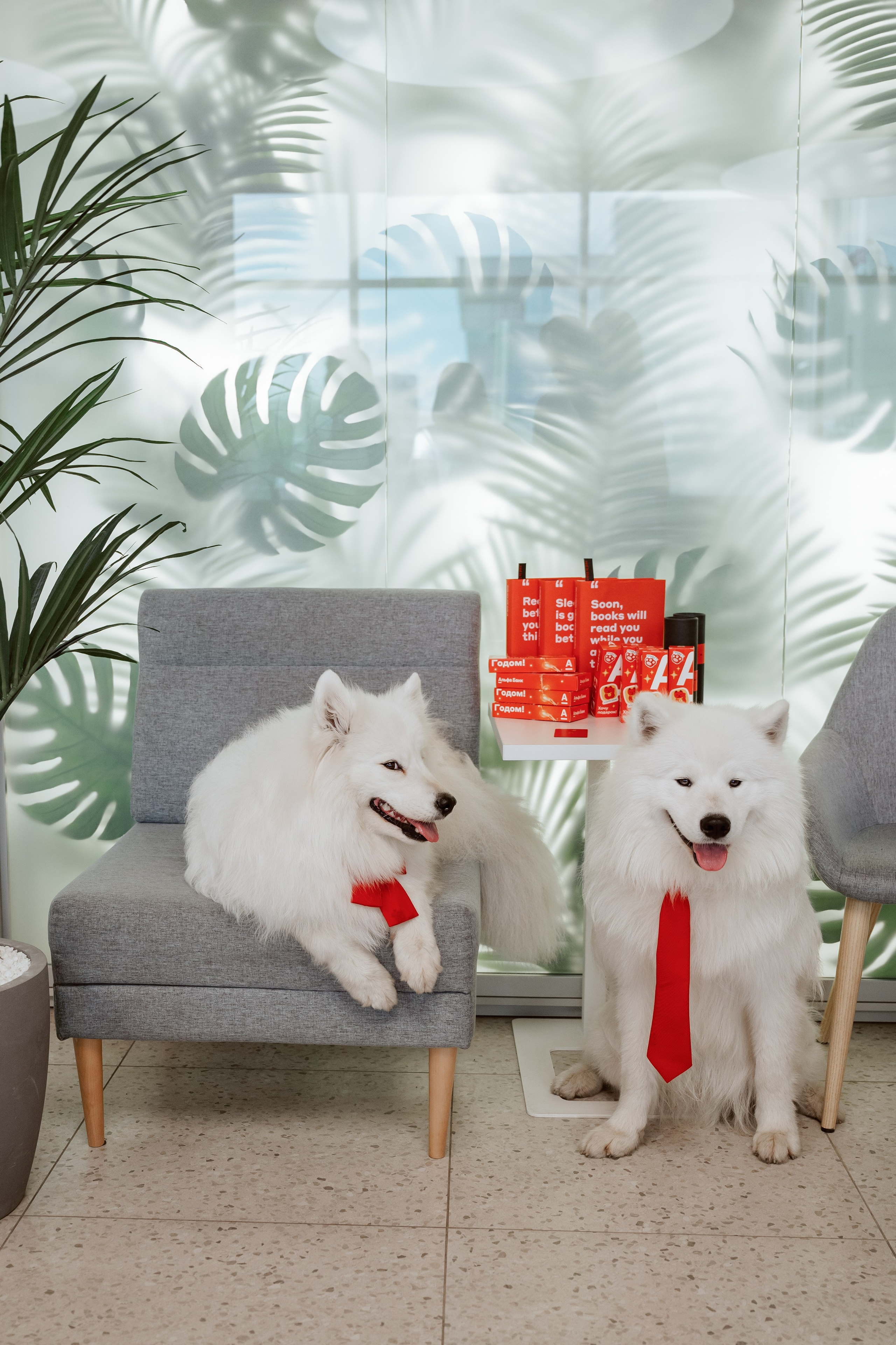 Альфа банк Карла Маркса 5. Фотограф Кристина Тумаева. Самоед Новосибирск