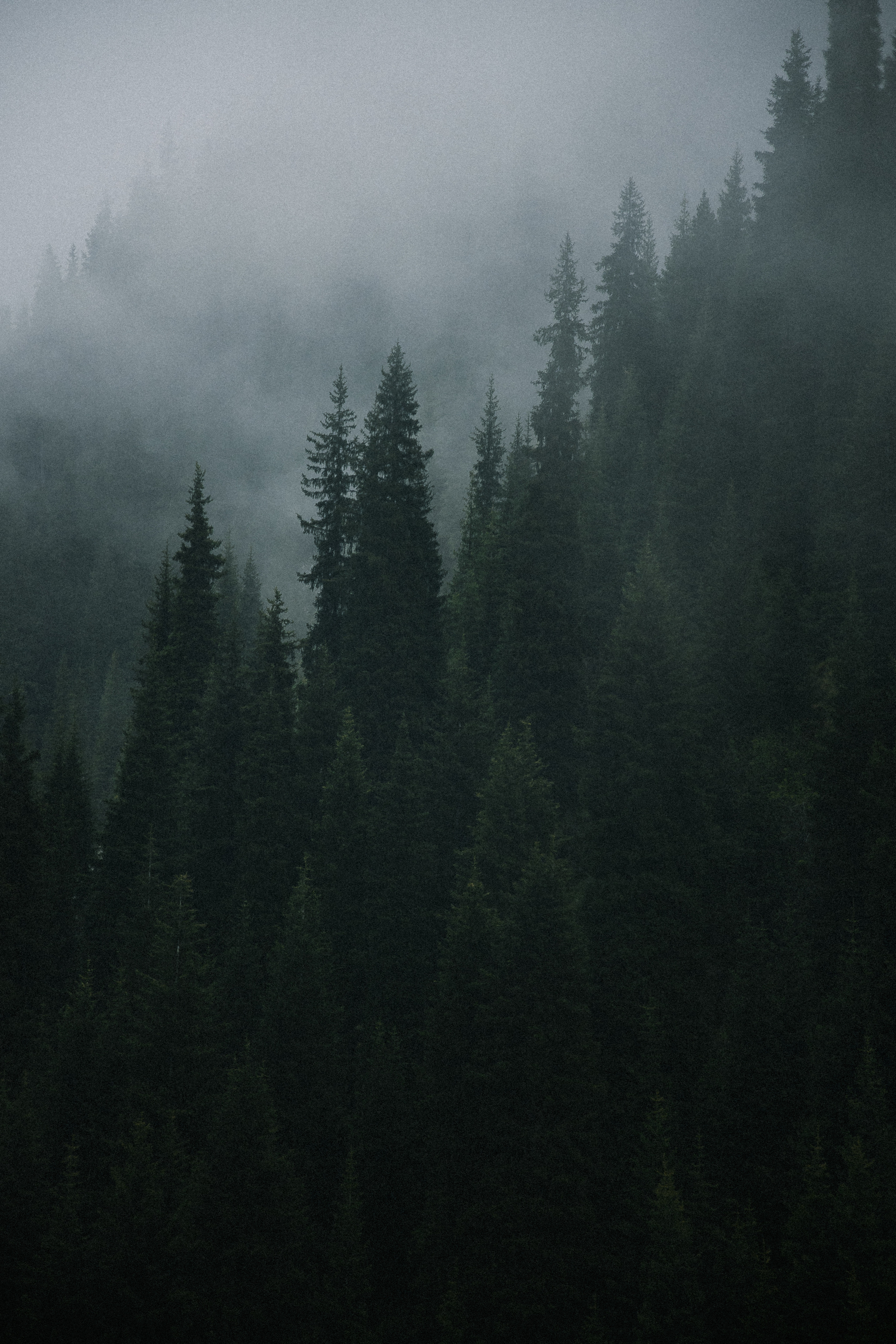 Фотограф в Алматы Аружан Шалгимбаева