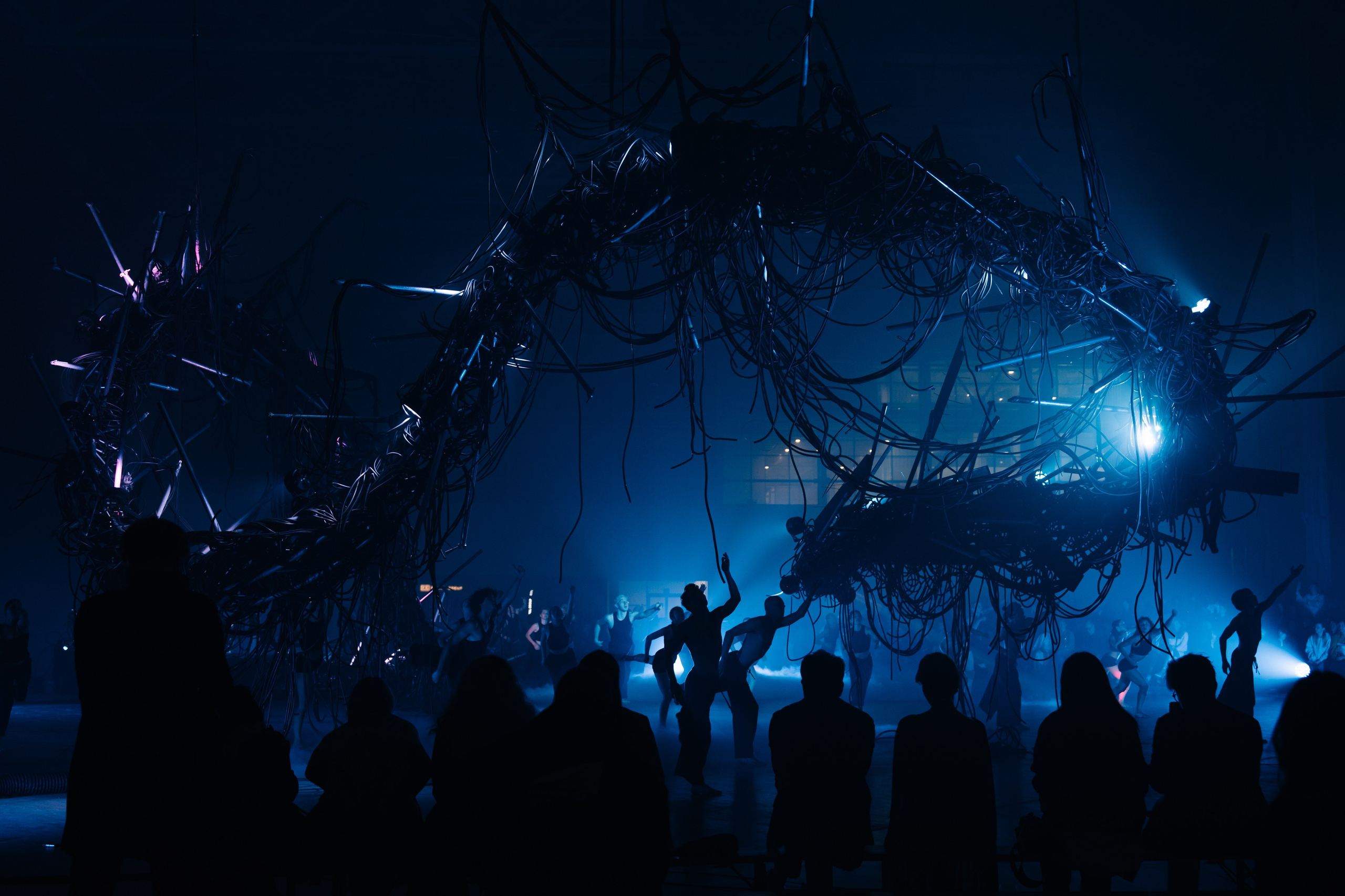 PERFORMA, The Hour of the Horse. @tomrus: Рустам Шагиморданов — фотограф