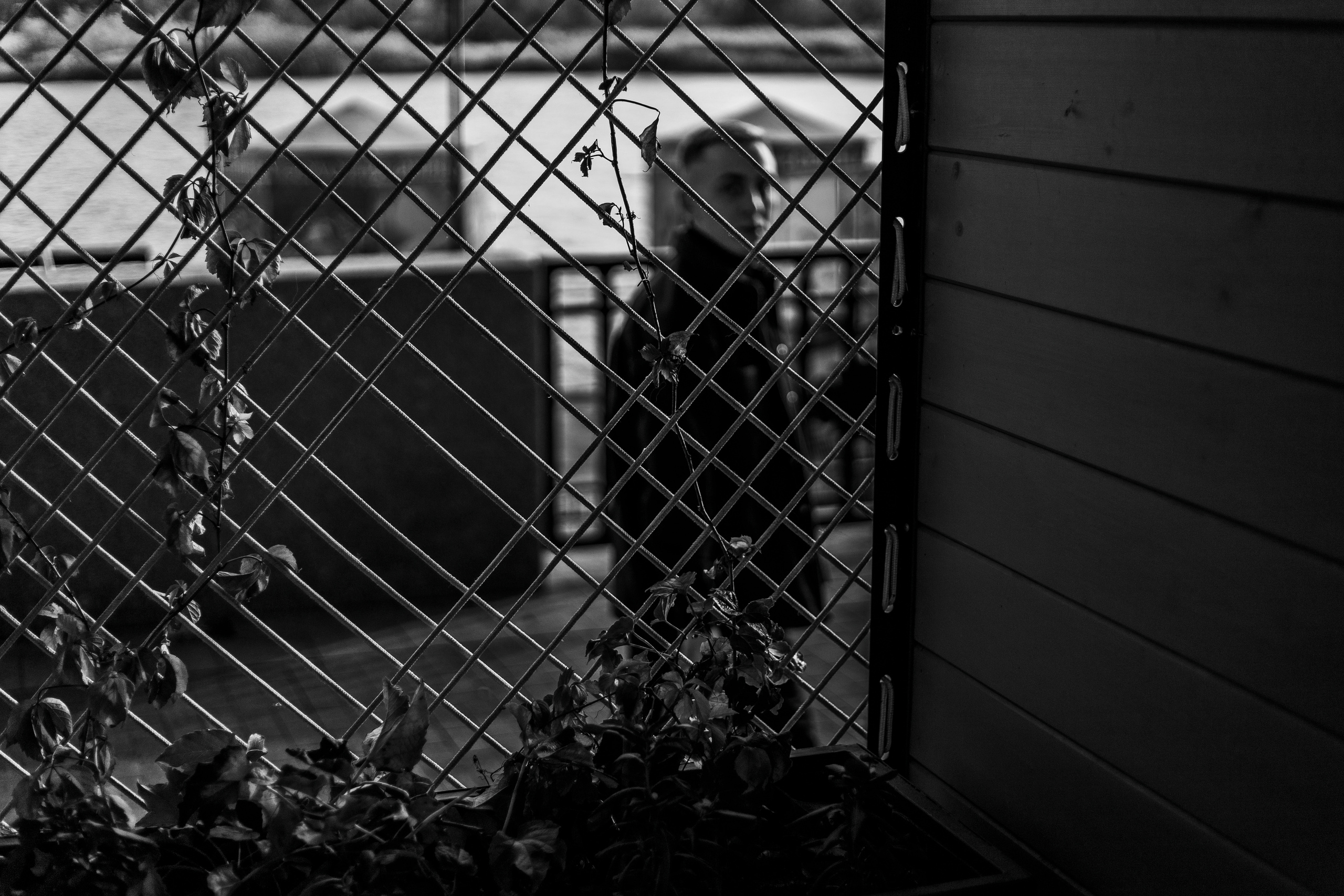 Мужской фотограф Ростов-на-Дону. Репортажный фотограф в городе Ростов-на-Дону Даниил Молодовский