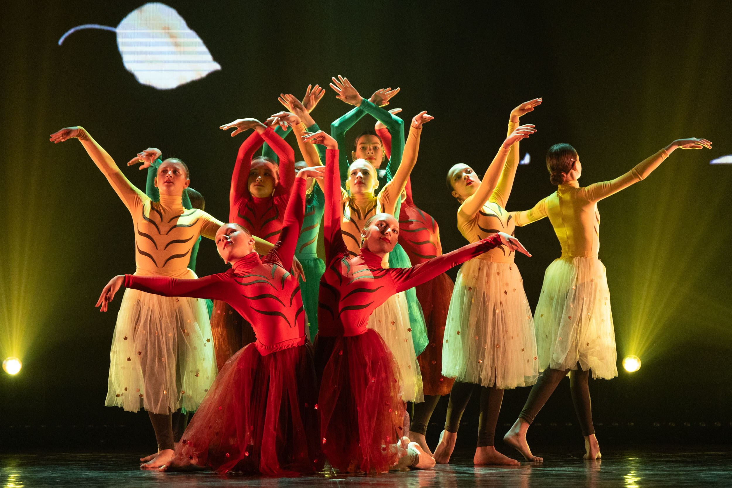 Юбилейный отчетный концерт хореографической мастерской