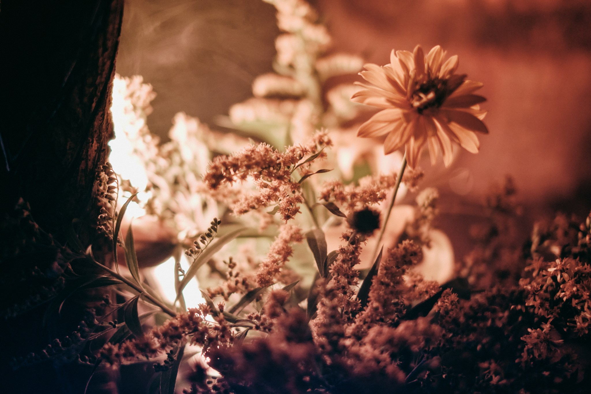 Dance performance Snake | Пространство «Лес». Фотограф Аннё| Москва