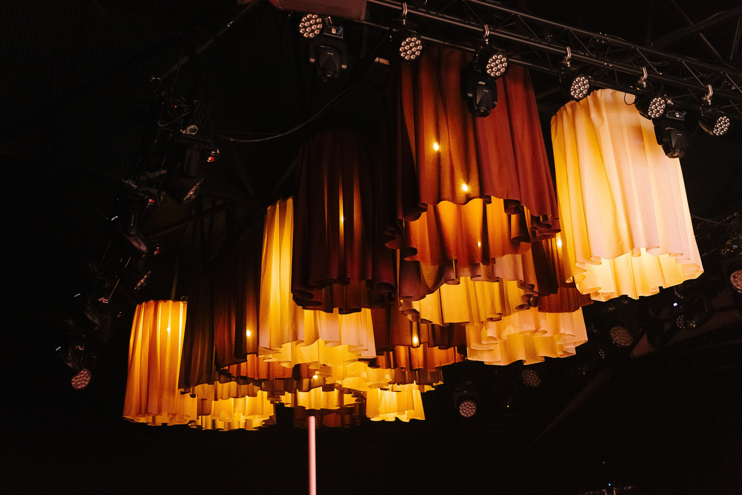 Сосны. Фотограф в Красноярске Любовь Малеева