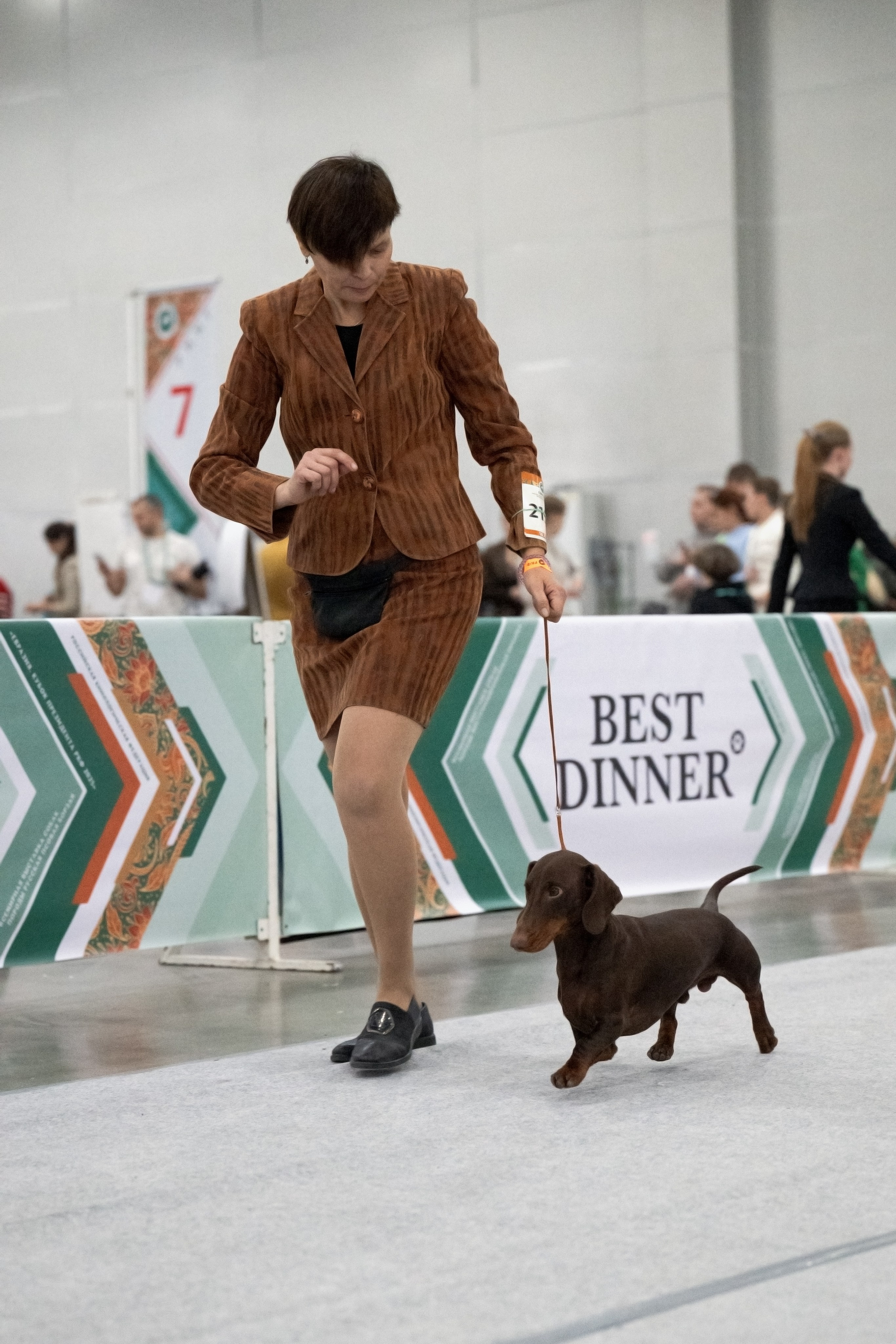 Выставки собак. Фотограф-анималист|Иркутск