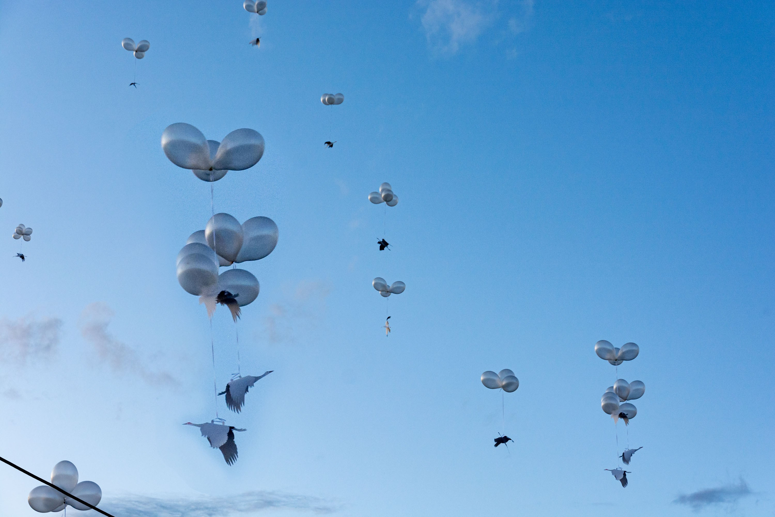 Открытие мемориального комплекса. Фотограф широкого профиля Чита-Цасучей