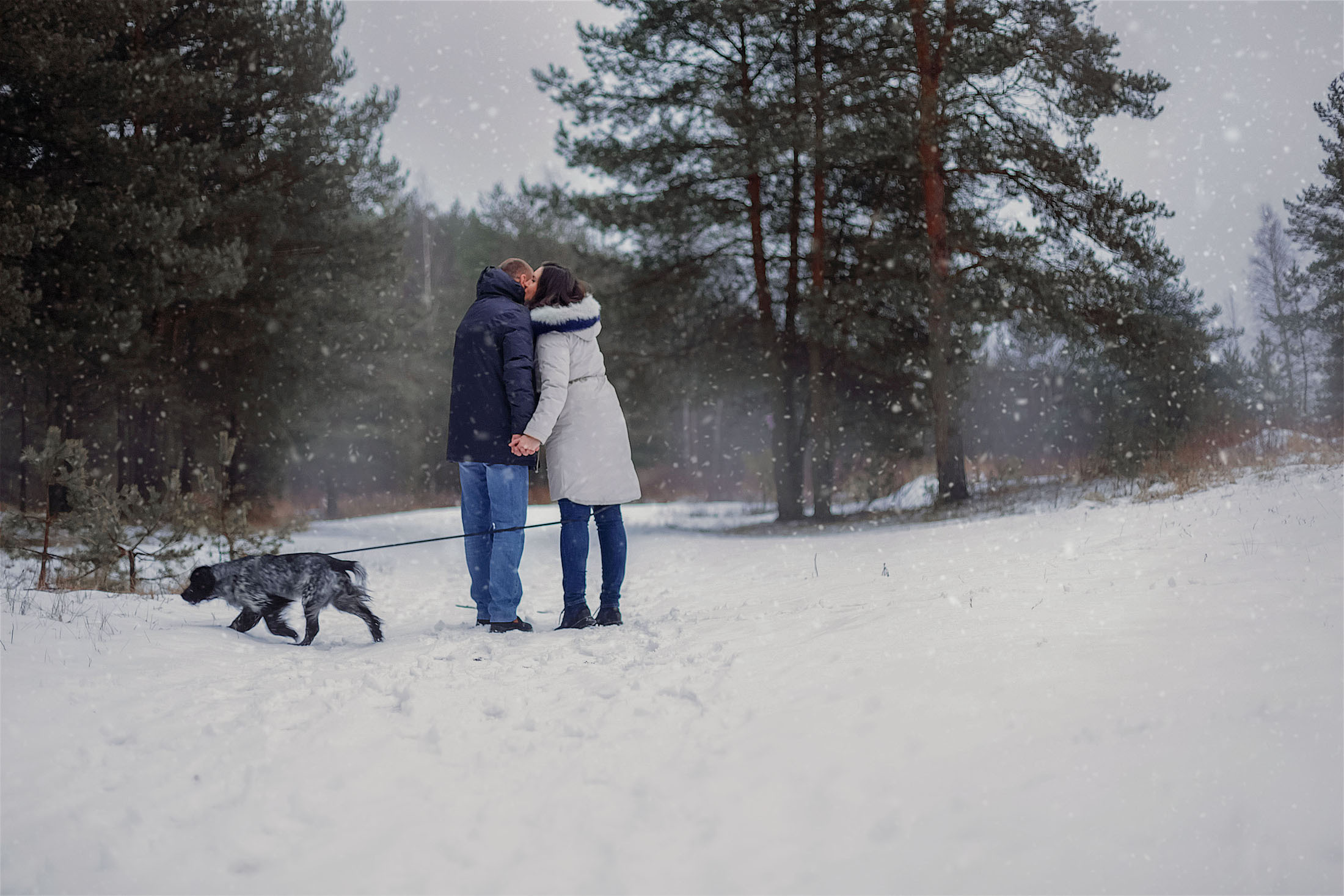 Екатерина и Александр. Фотограф в Санкт-Петербурге и Ленинградской области Катя Нугу
