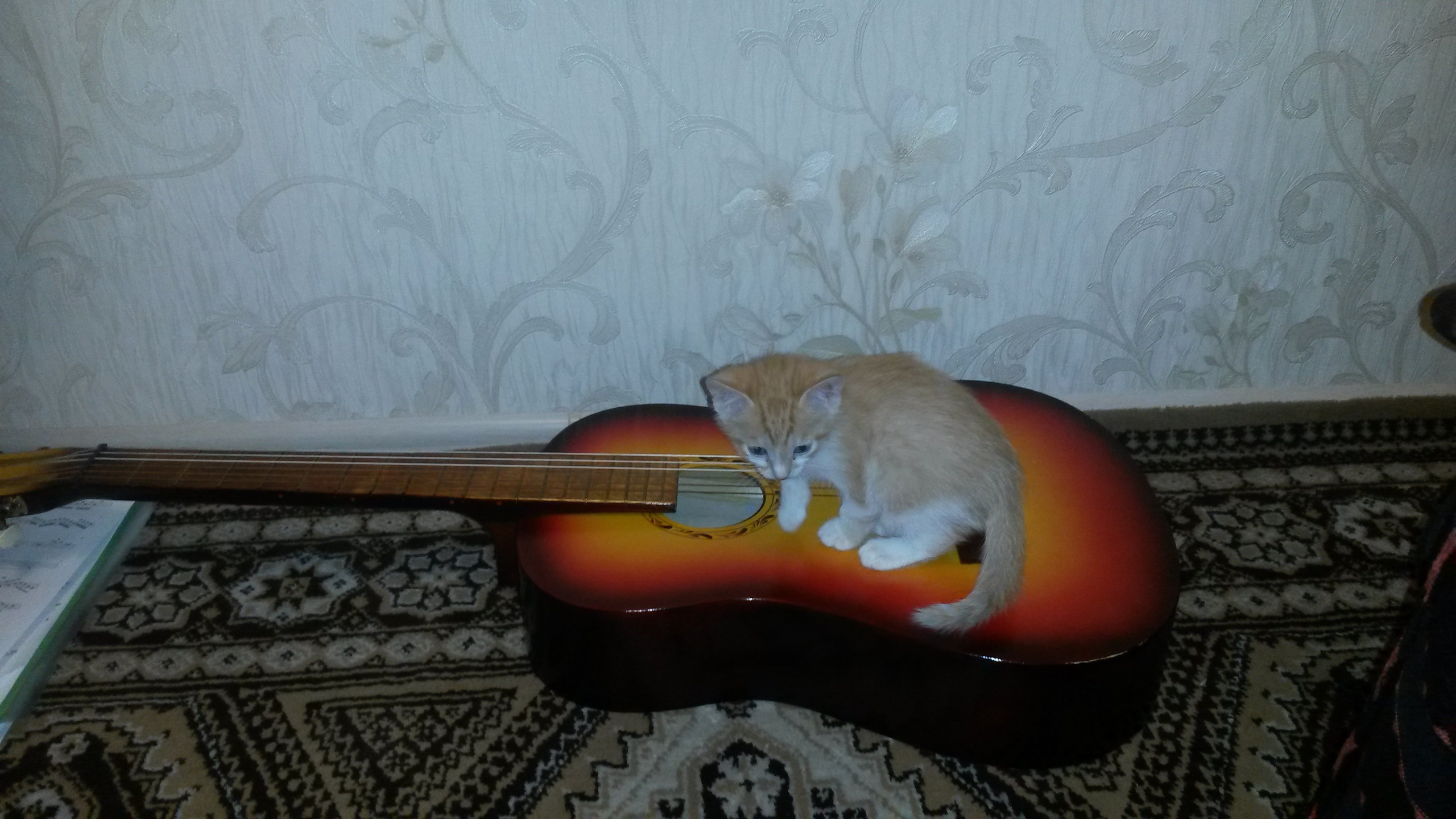 Октябрь (школа, Перси, Гренада). Семейный, Свадебный фотограф СПБ Питер— Романова Екатерина