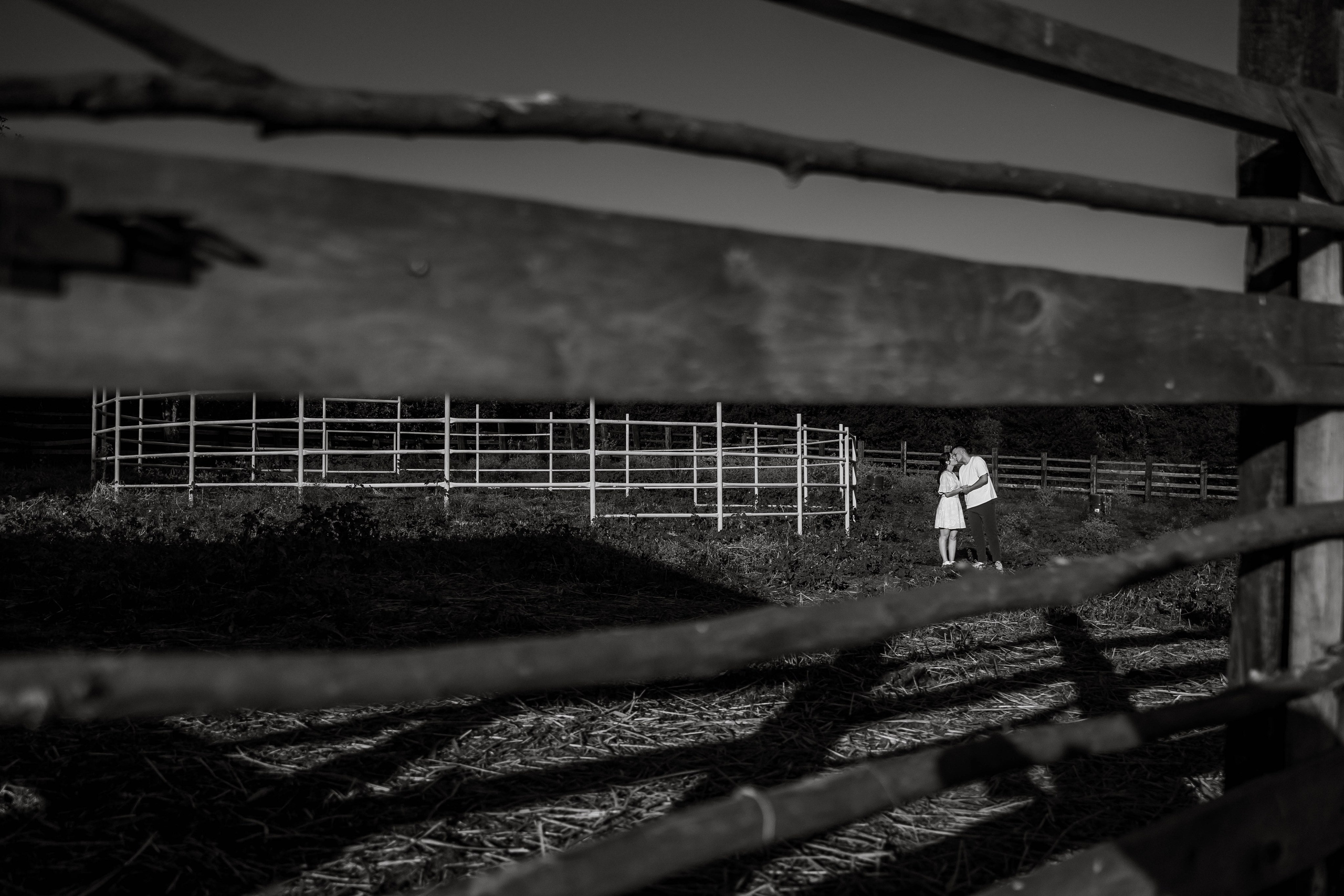 Любовь и лимоны. Свадебный и семейный фотограф