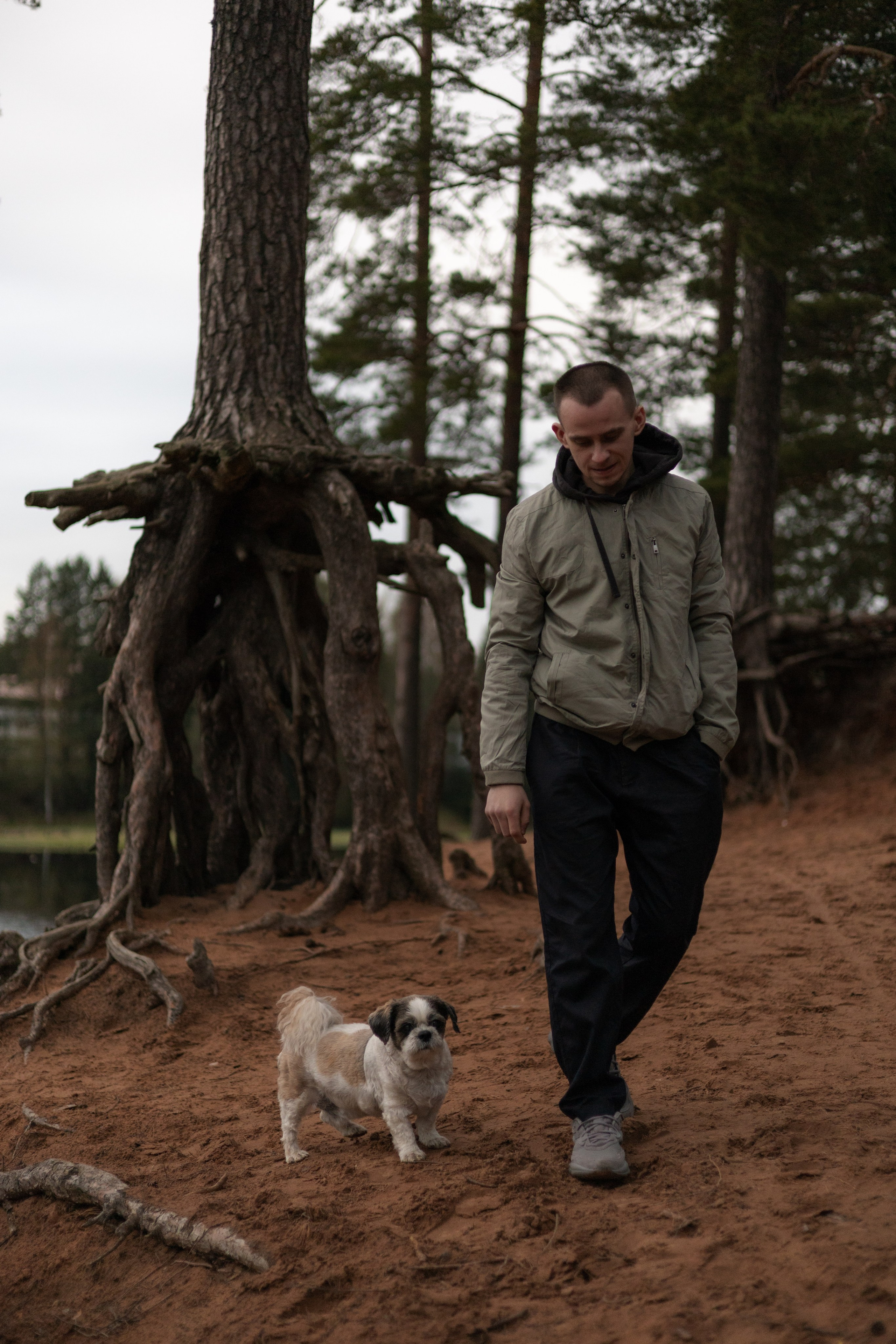 фотосессия с собакой