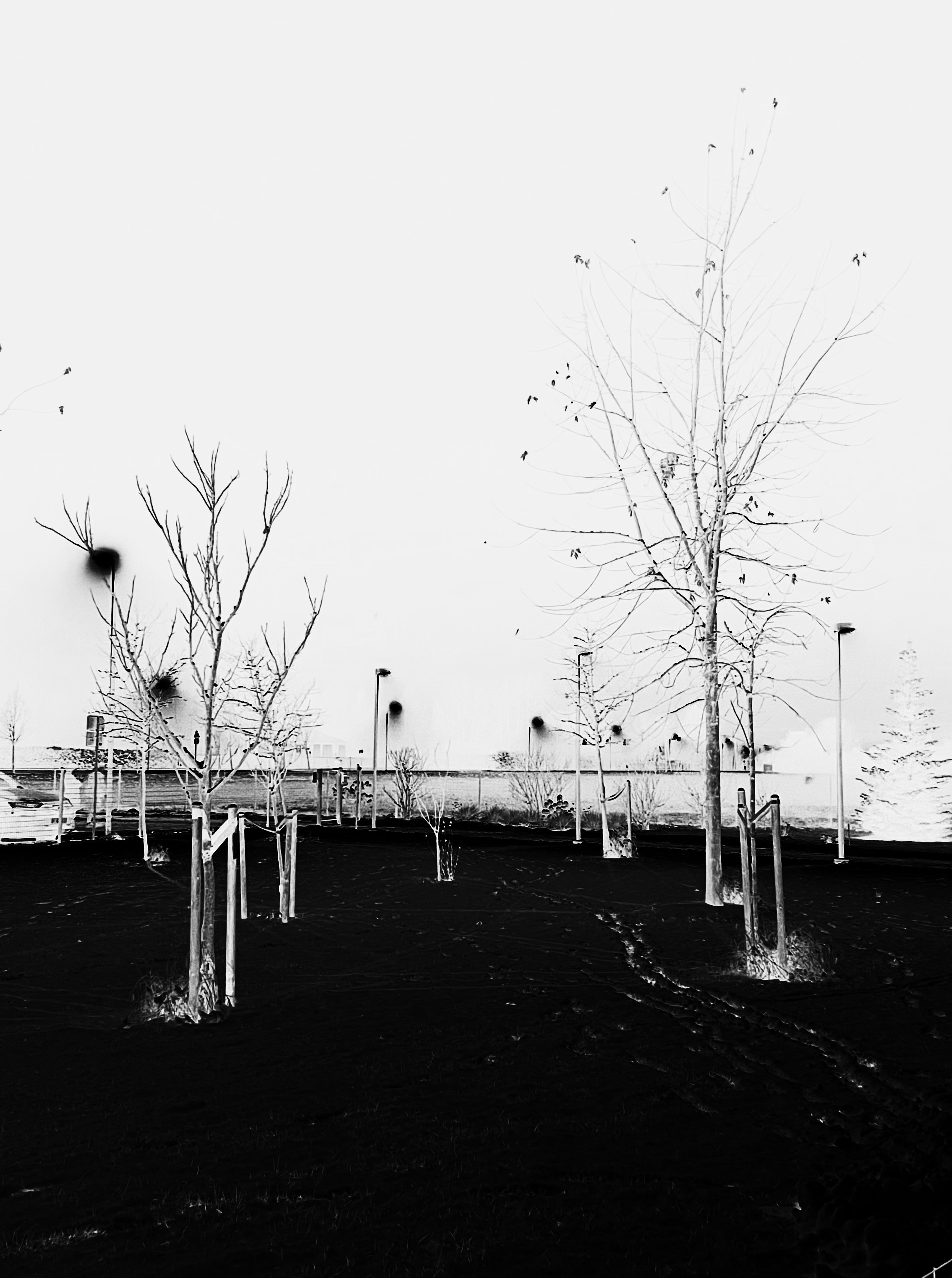 пейзаж, фотография, супрематизм